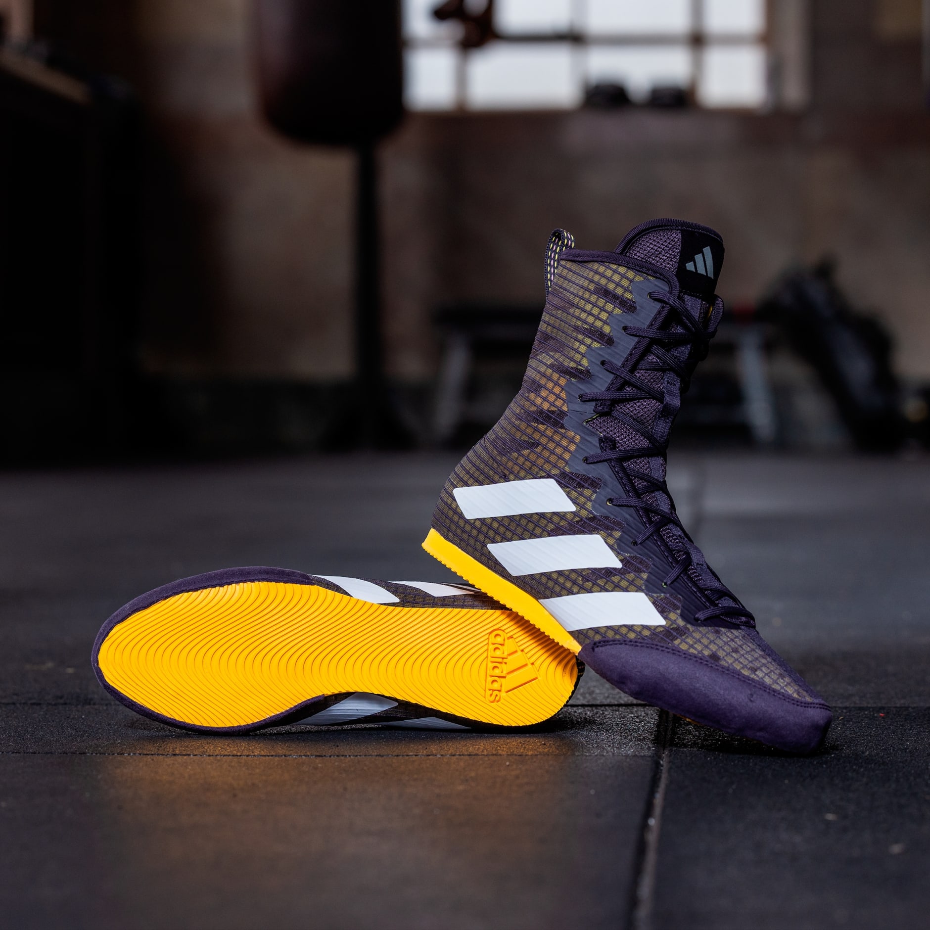 adidas Box Hog 4 Shoes Purple adidas UAE