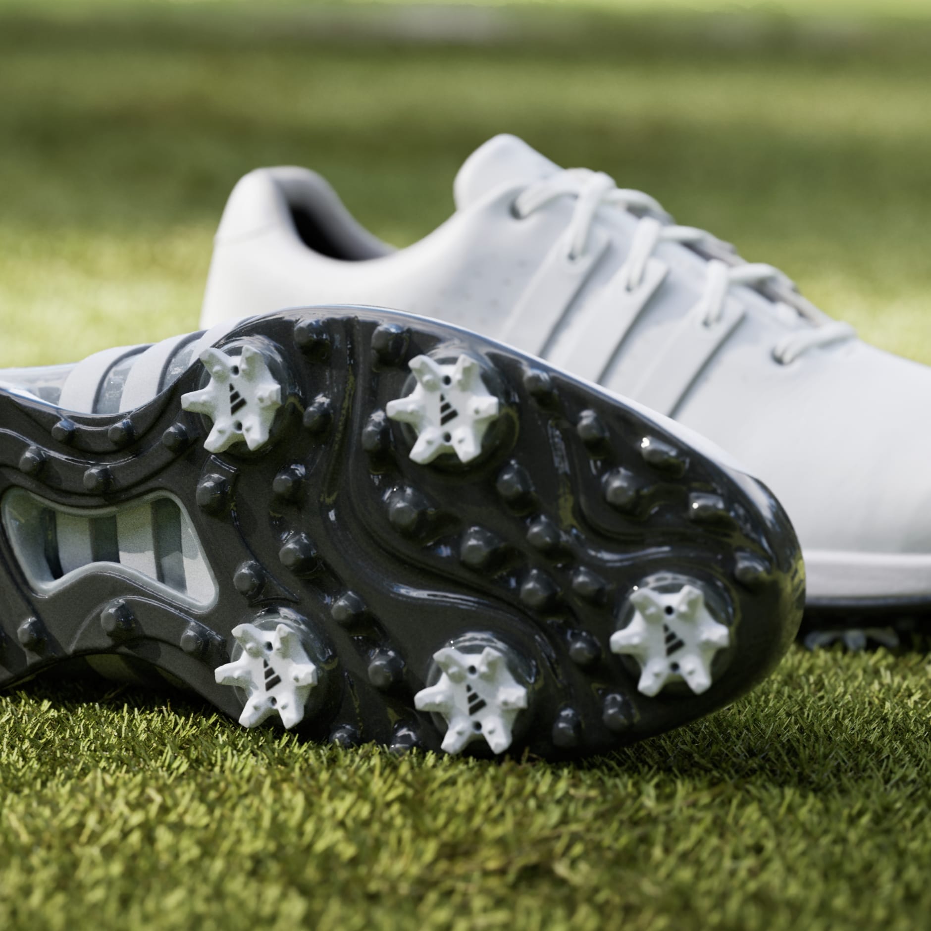 Pantofi de golf Tour360 24