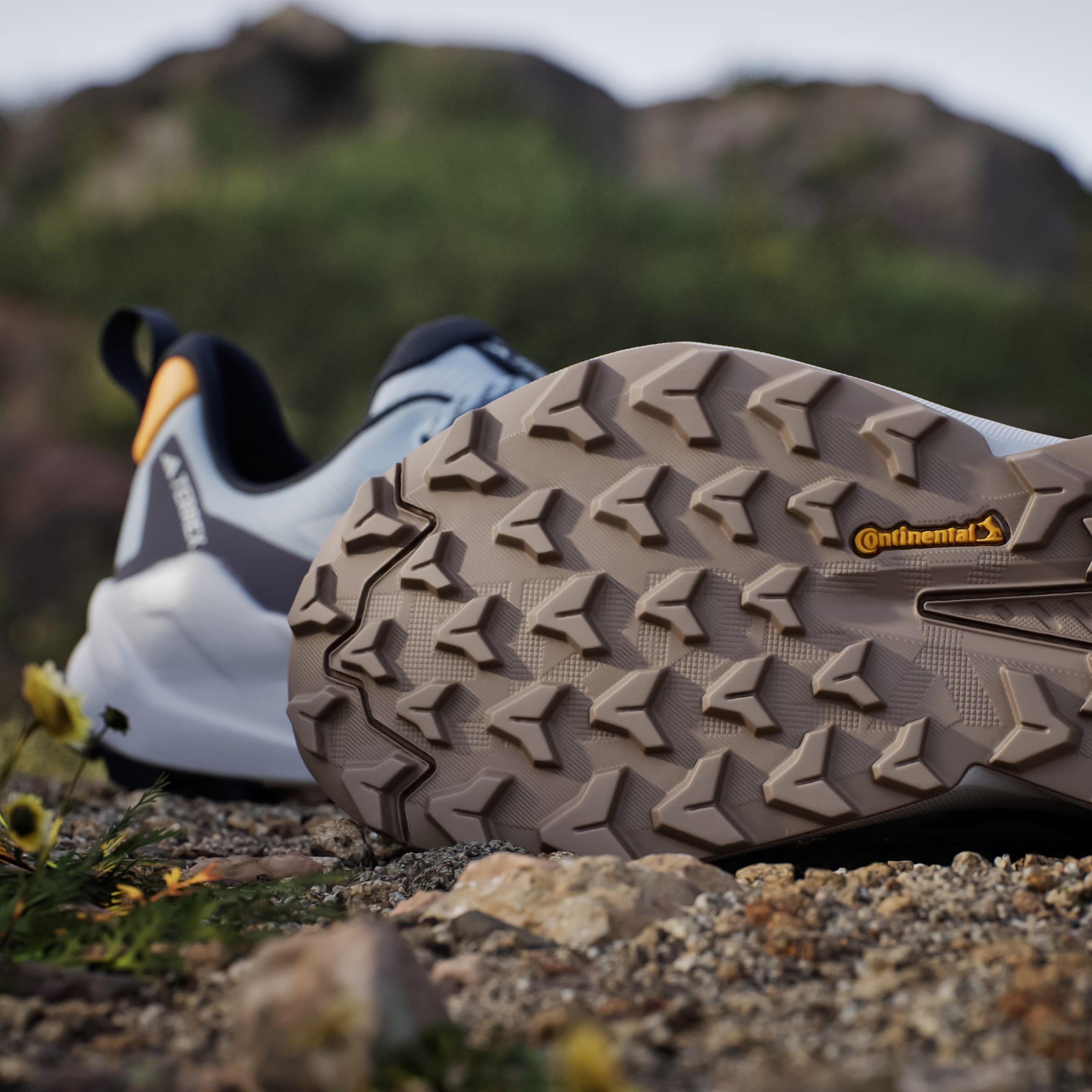 Planinarske cipele Terrex Trailmaker 2.0