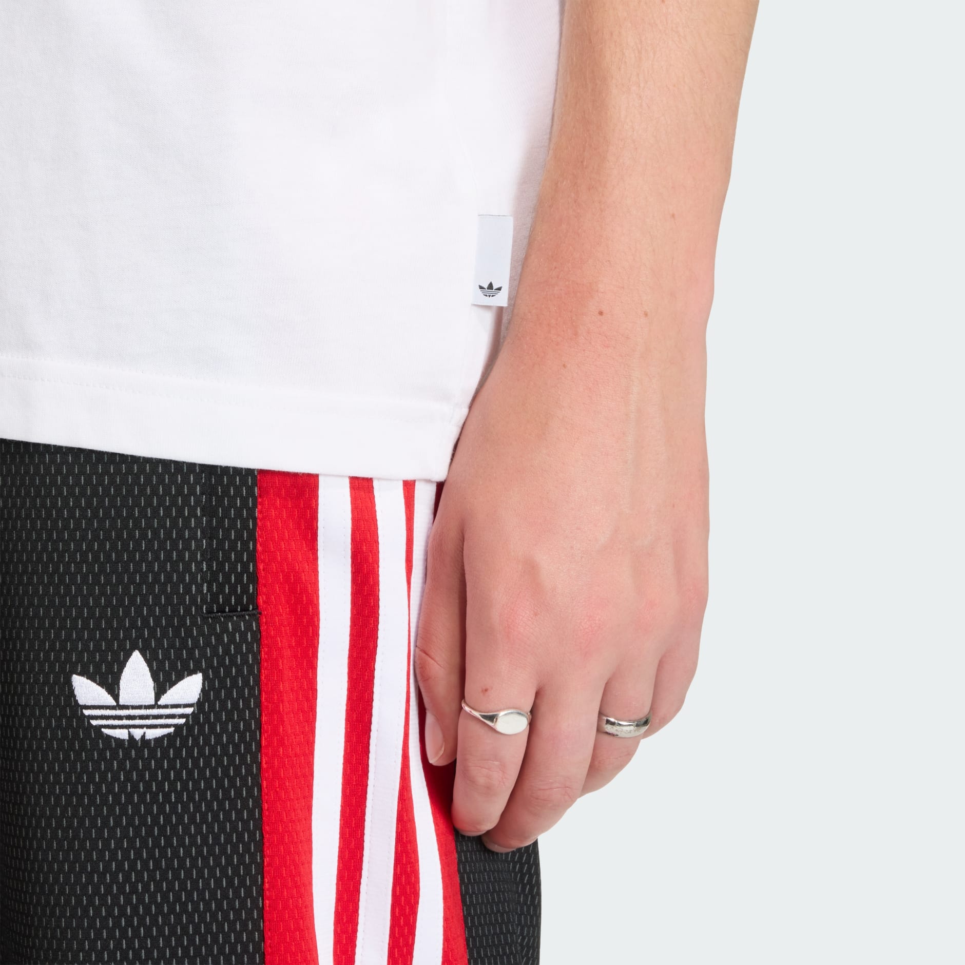 Trefoil Series Roses