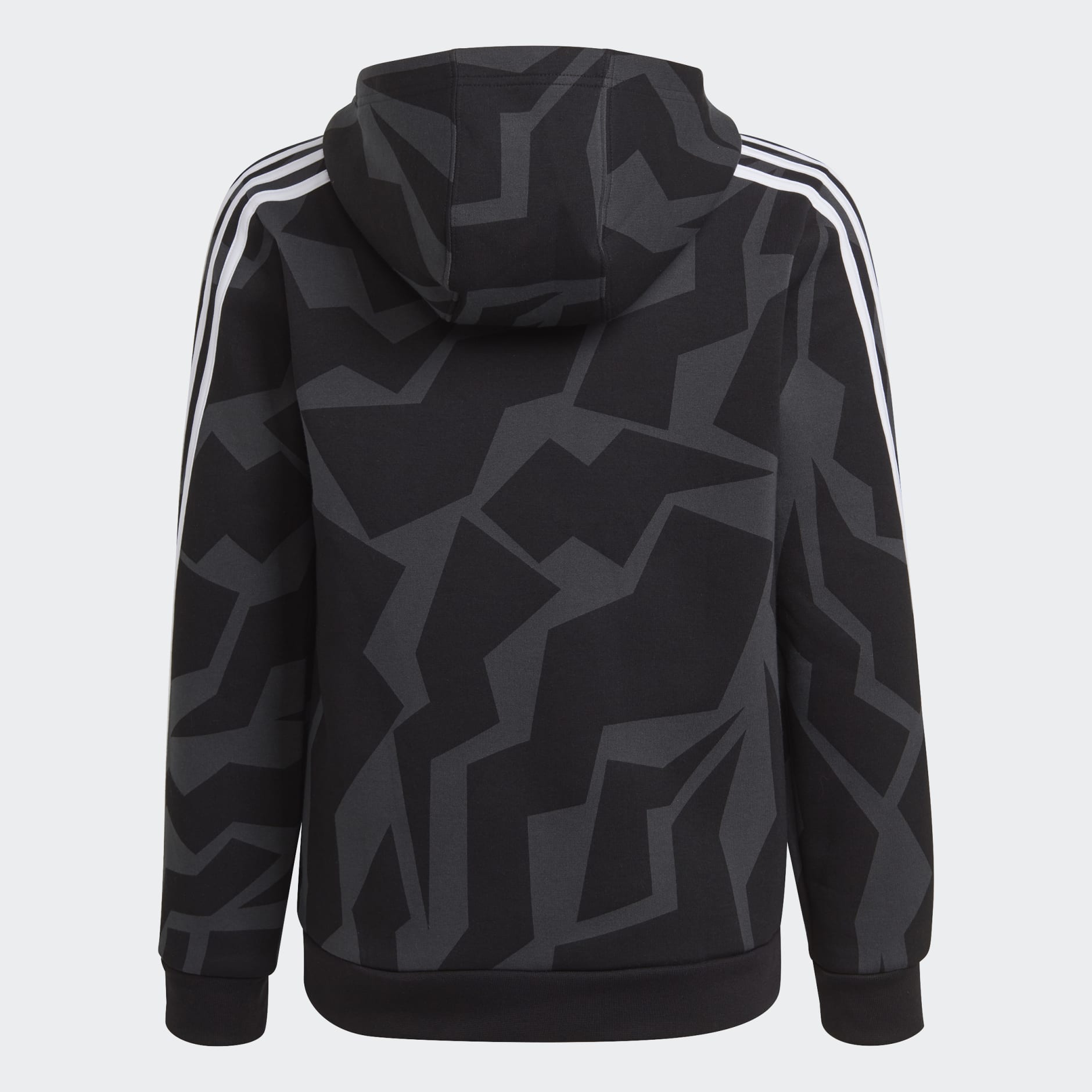 Future Icons 3-Stripes Graphic Hoodie