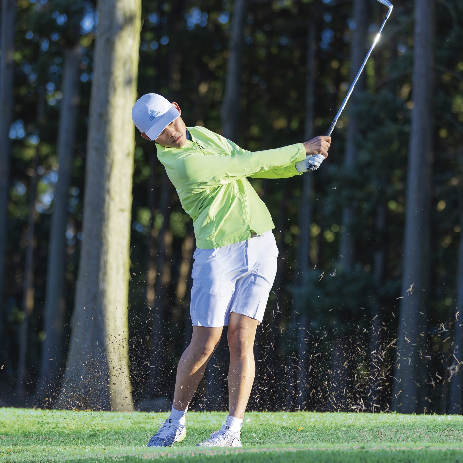 Golf Shorts