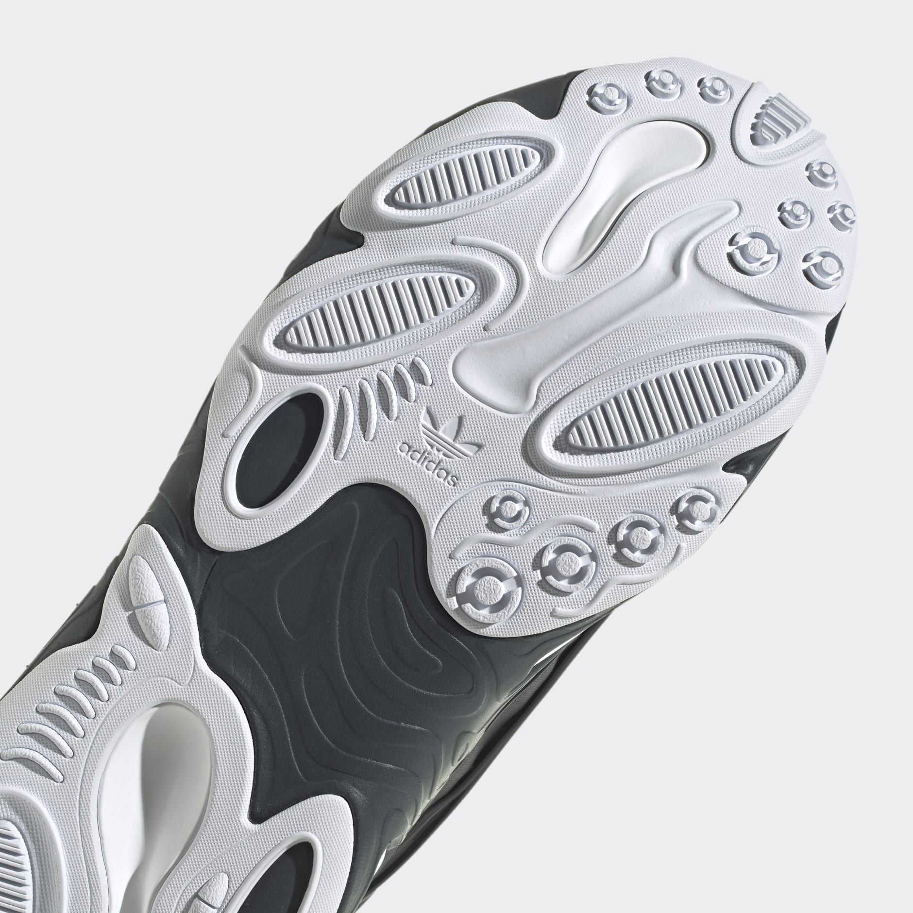 Oznova Shoes