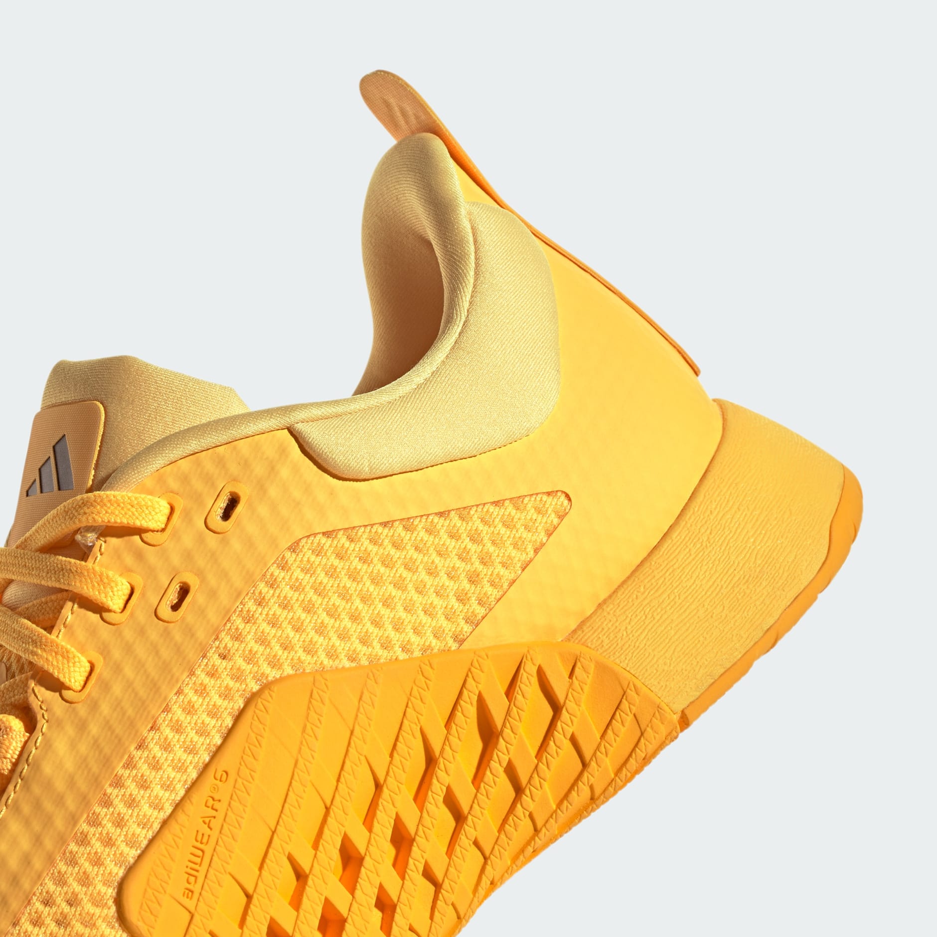 Dropset 2 Trainer