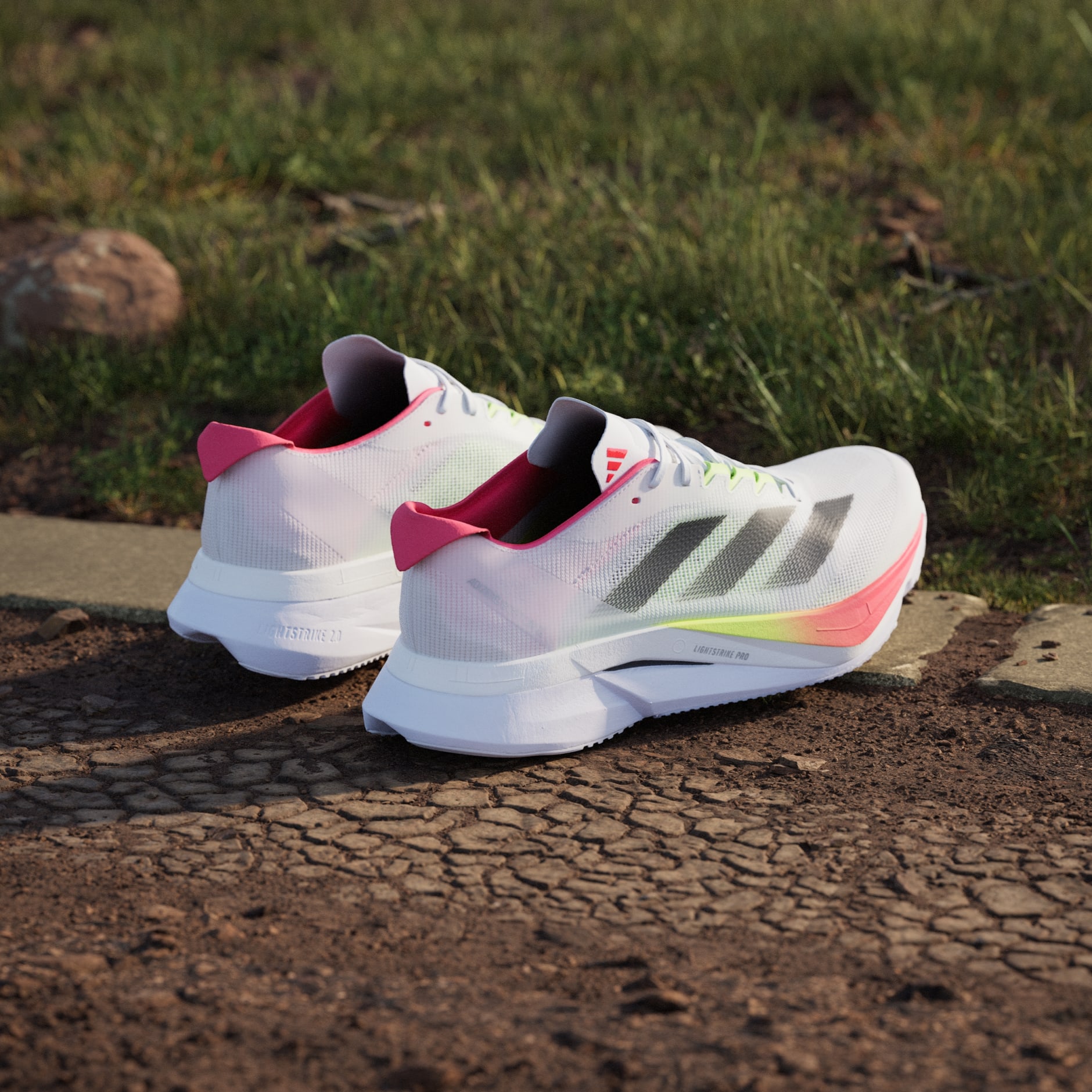 adidas Adizero Boston 12 Shoes - White | adidas UAE