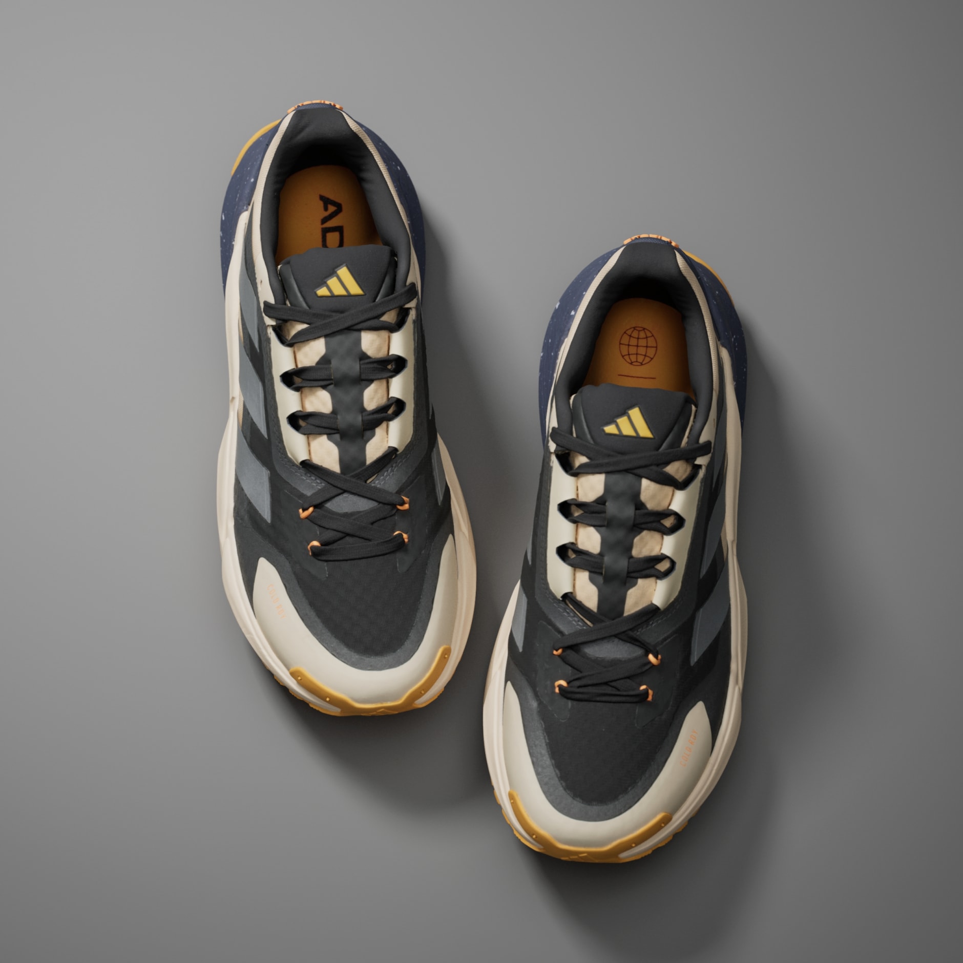 Adistar COLD.RDY Shoes