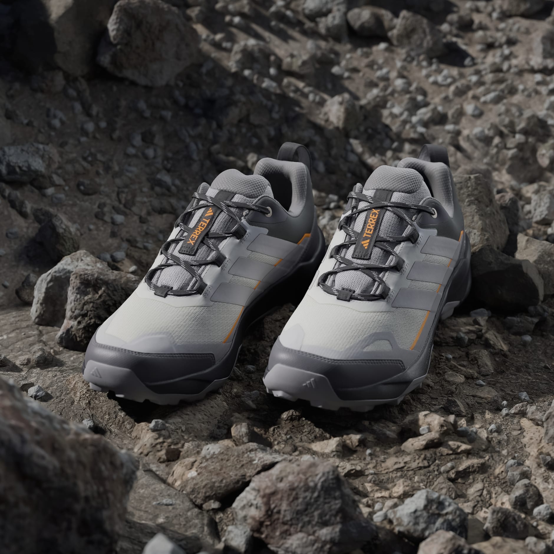 Planinarske cipele Terrex Skychaser Ax5