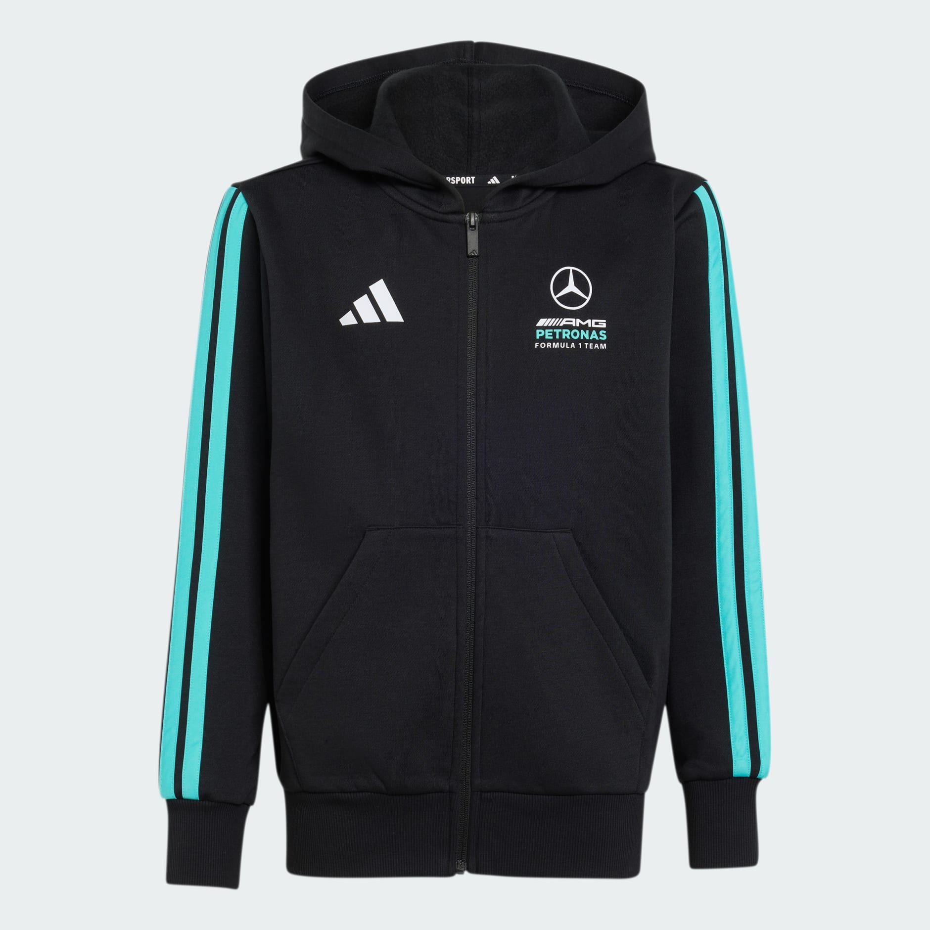 MERCEDES - AMG PETRONAS FORMULA 1 TEAM DNA FULL ZIP HOODY