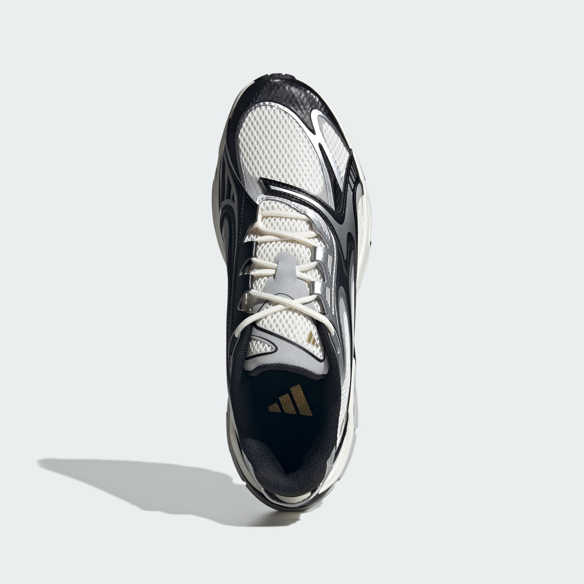 Formotion Shoes
