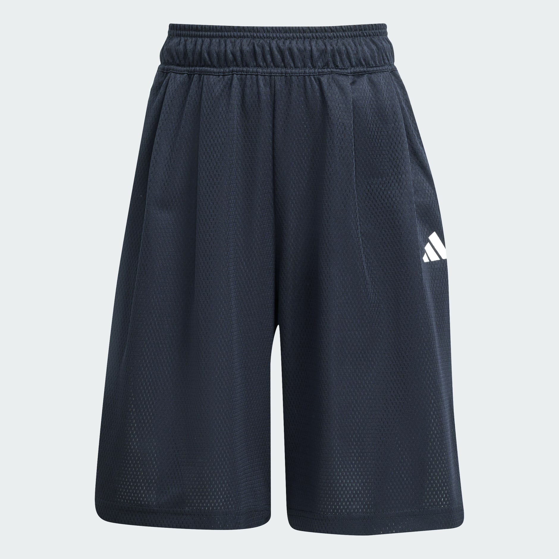 Stadium Mesh Short