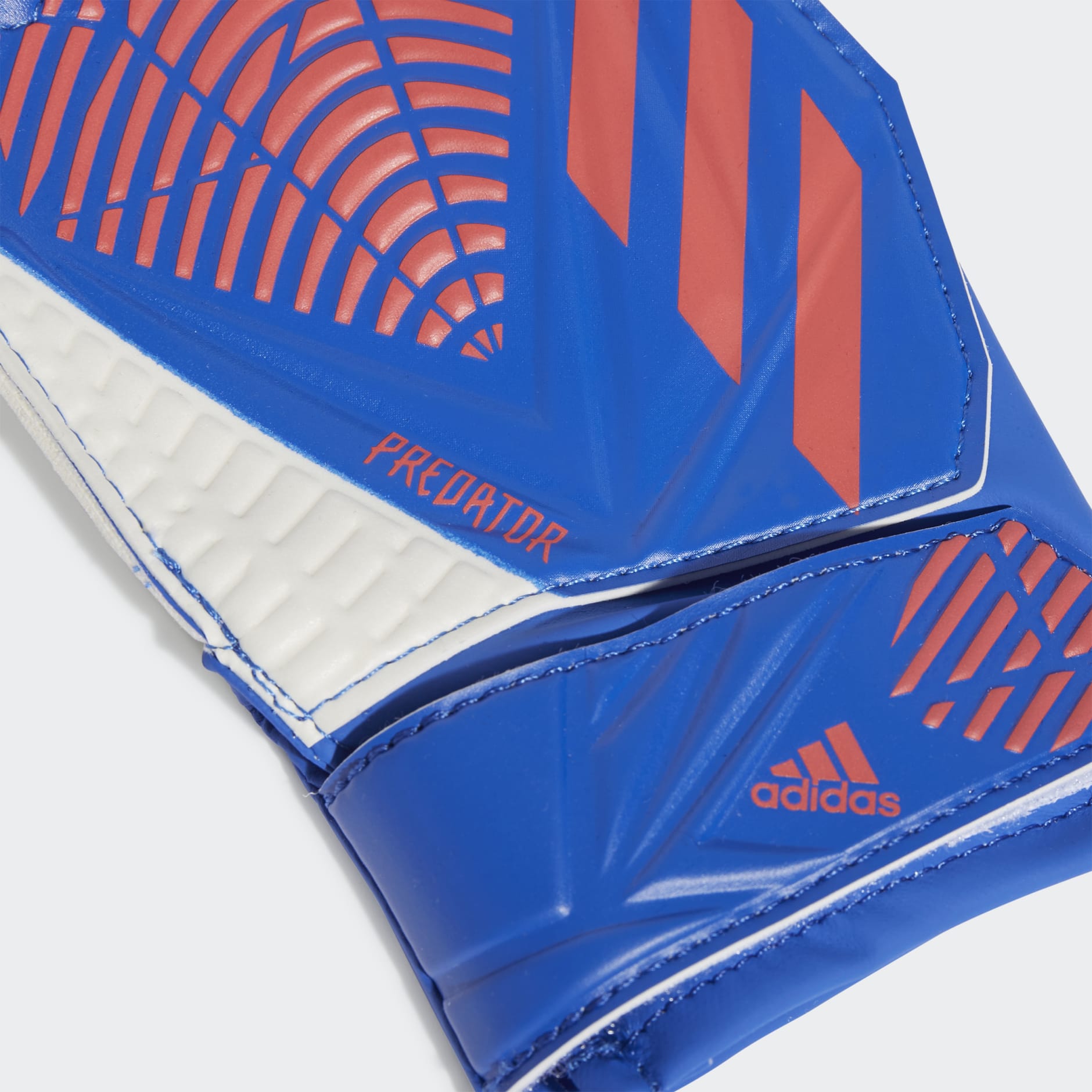 Predator Training Gloves