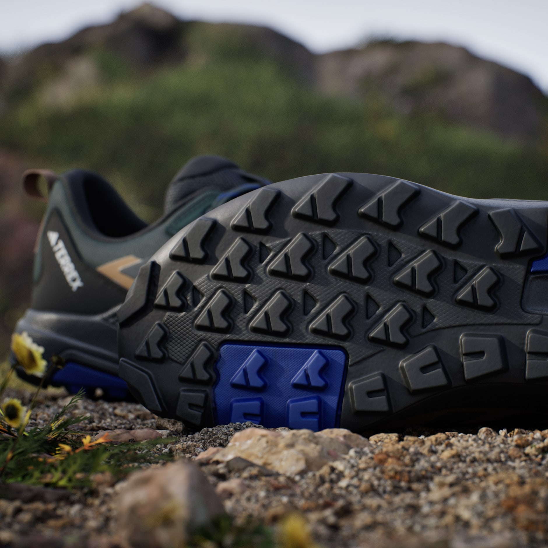 Pantofi de drumeție Terrex Anylander