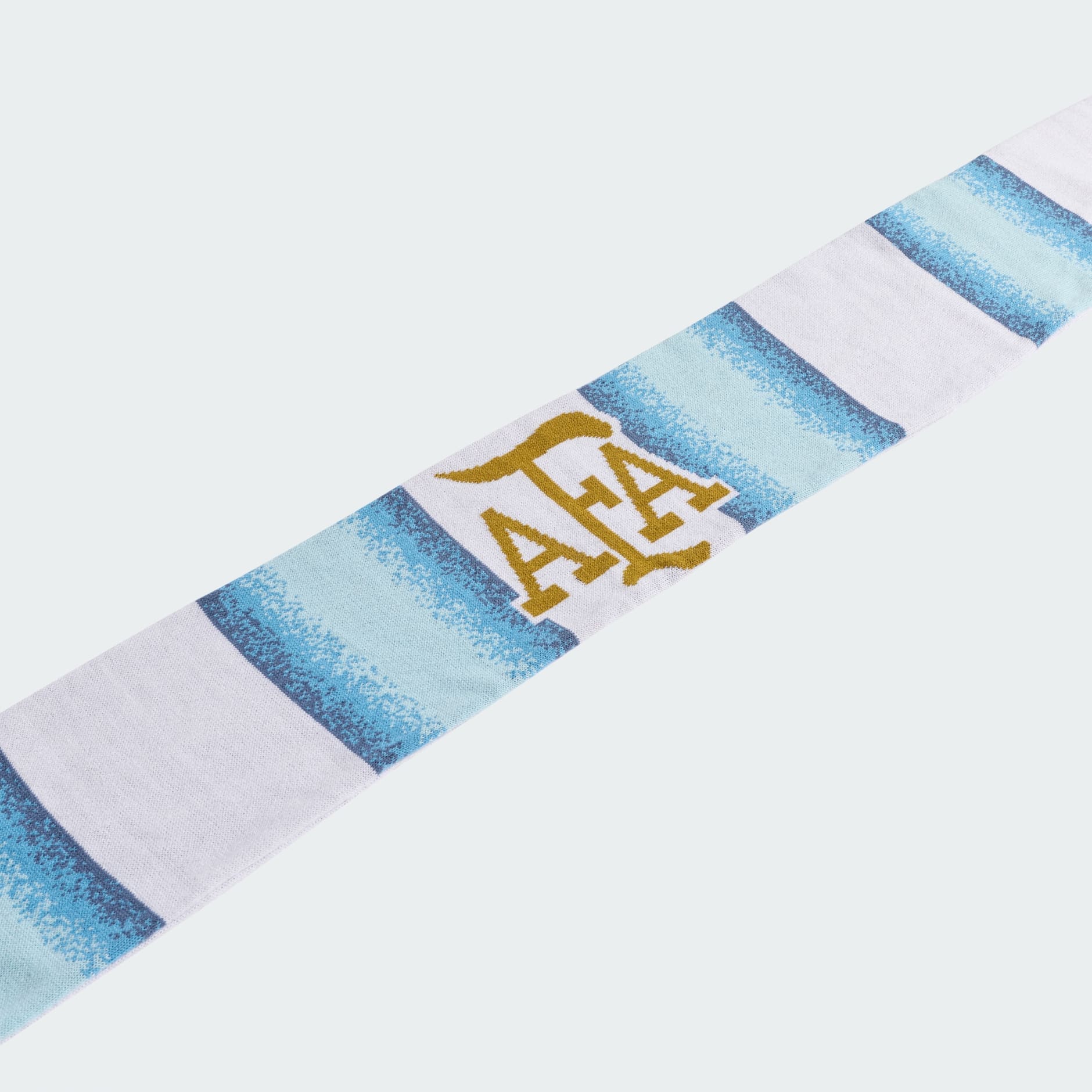 Argentina 26 Scarf