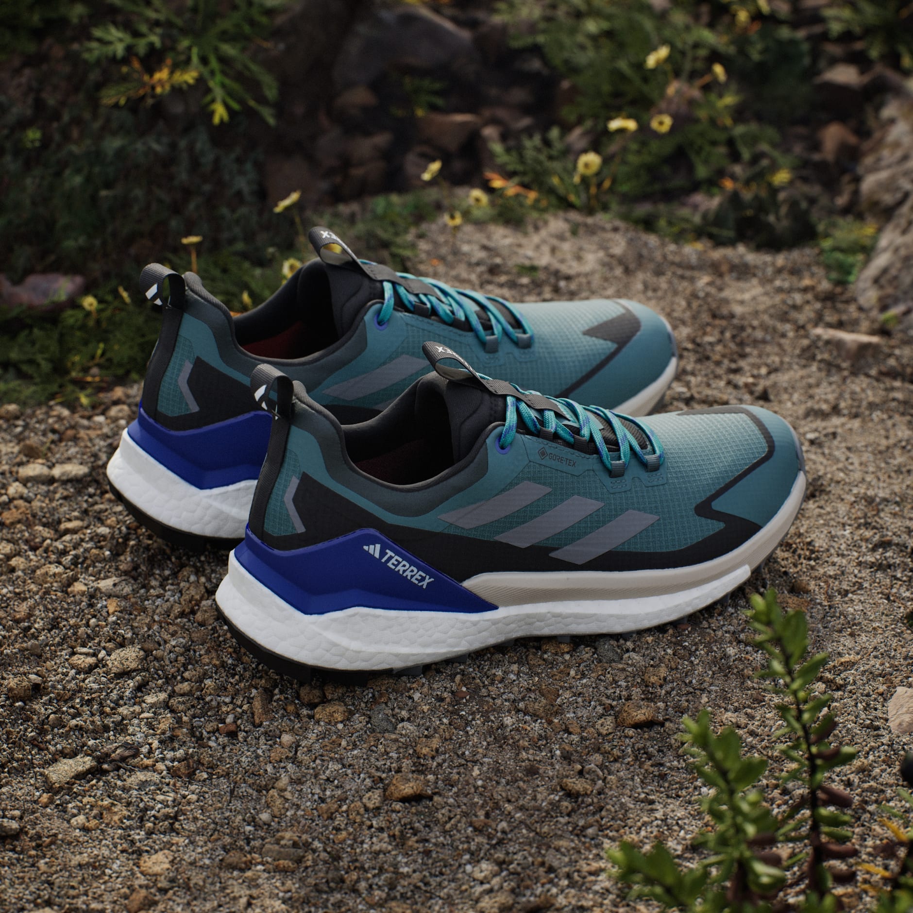 حذاء Terrex Free Hiker 2.0 Low Gore-Tex للمشي لمسافات طويلة