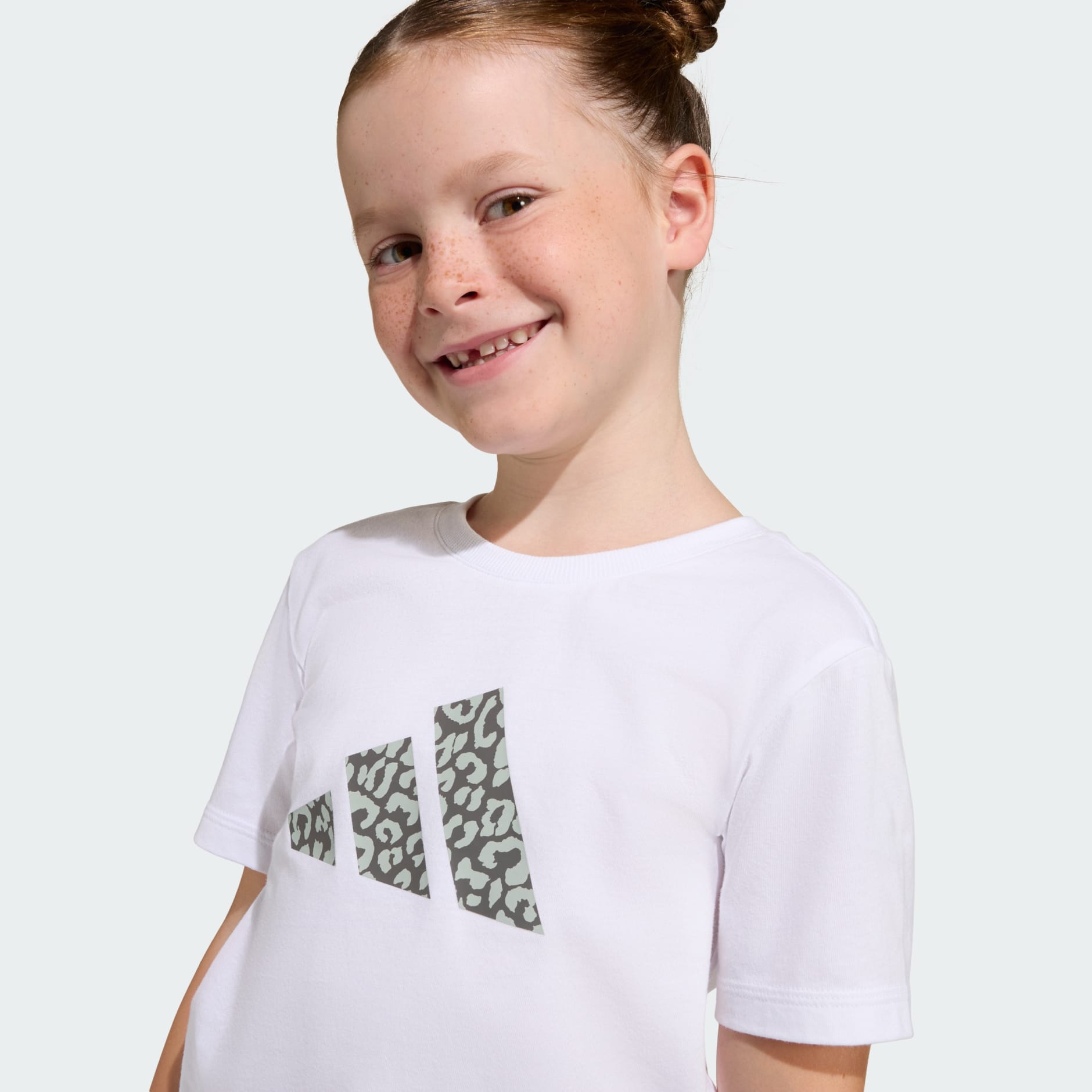 SEASONALS ANIMAL SET