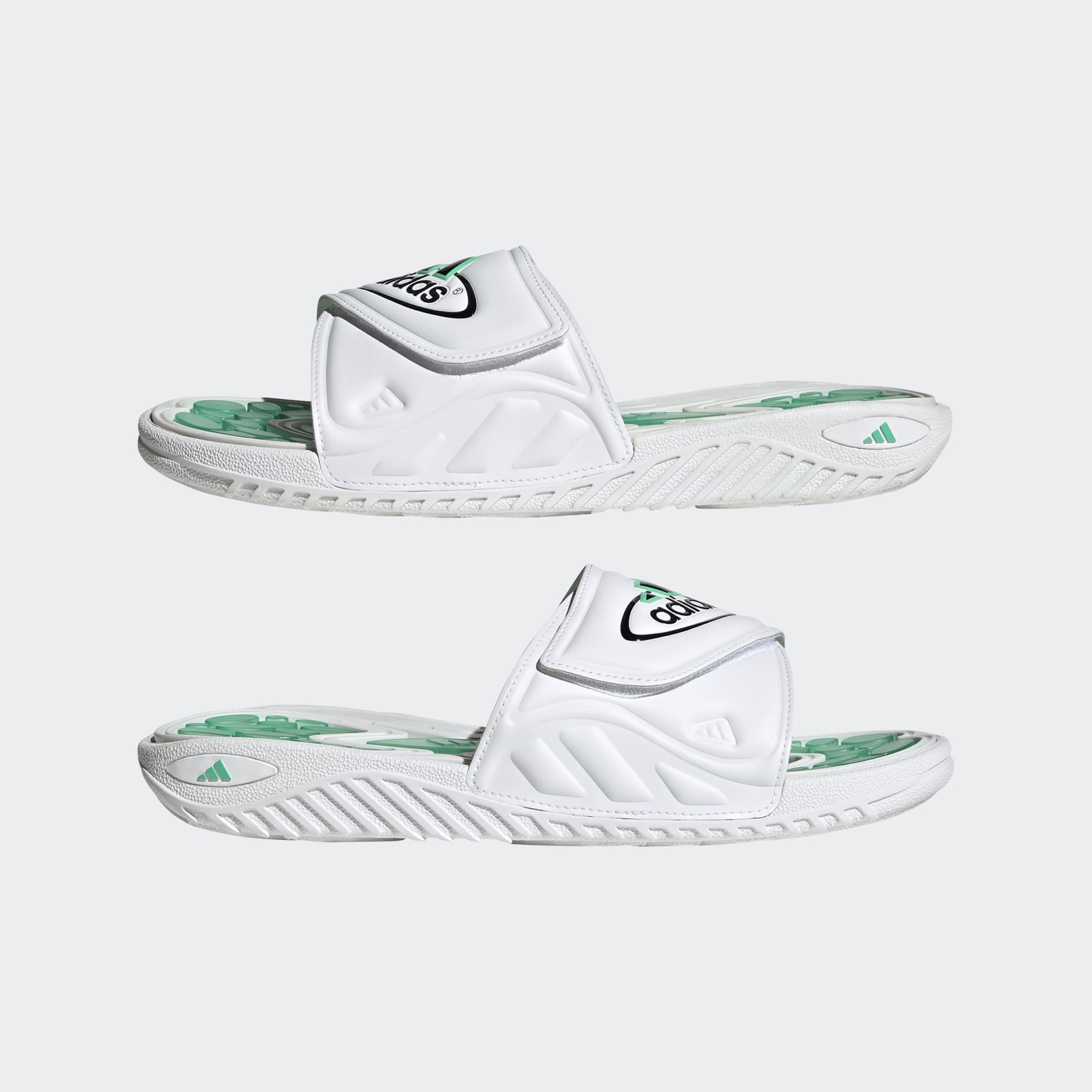 Reptossage Slides