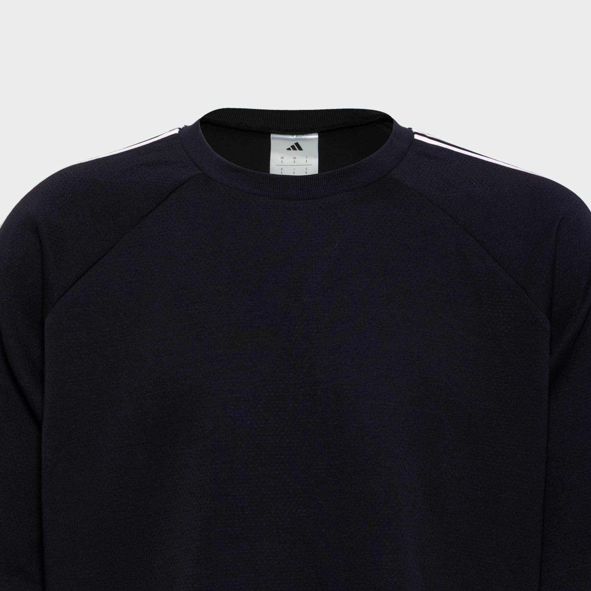 Maccabi Tel Aviv culterwear shirt 25/26