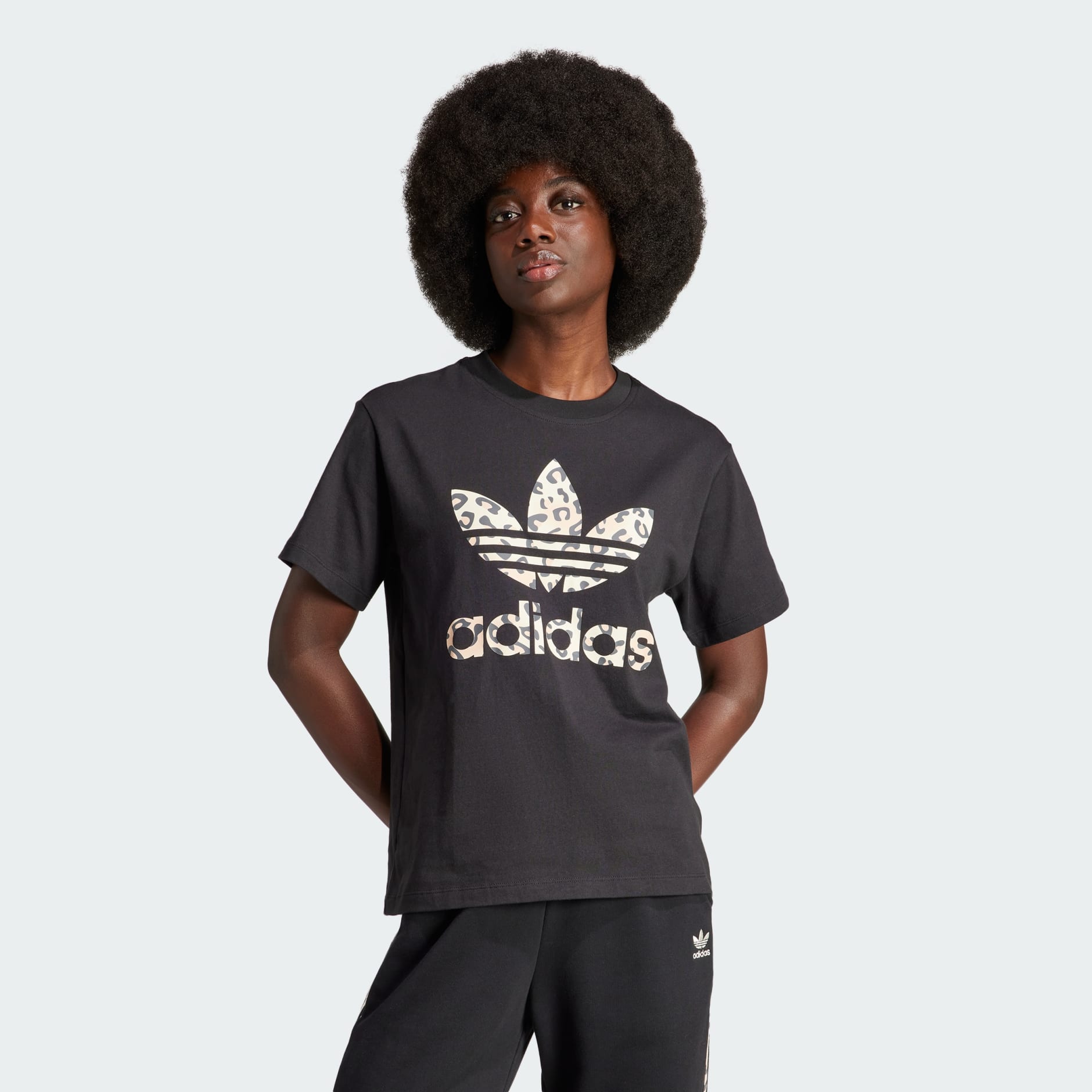 Adidas trefoil tee womens hotsell