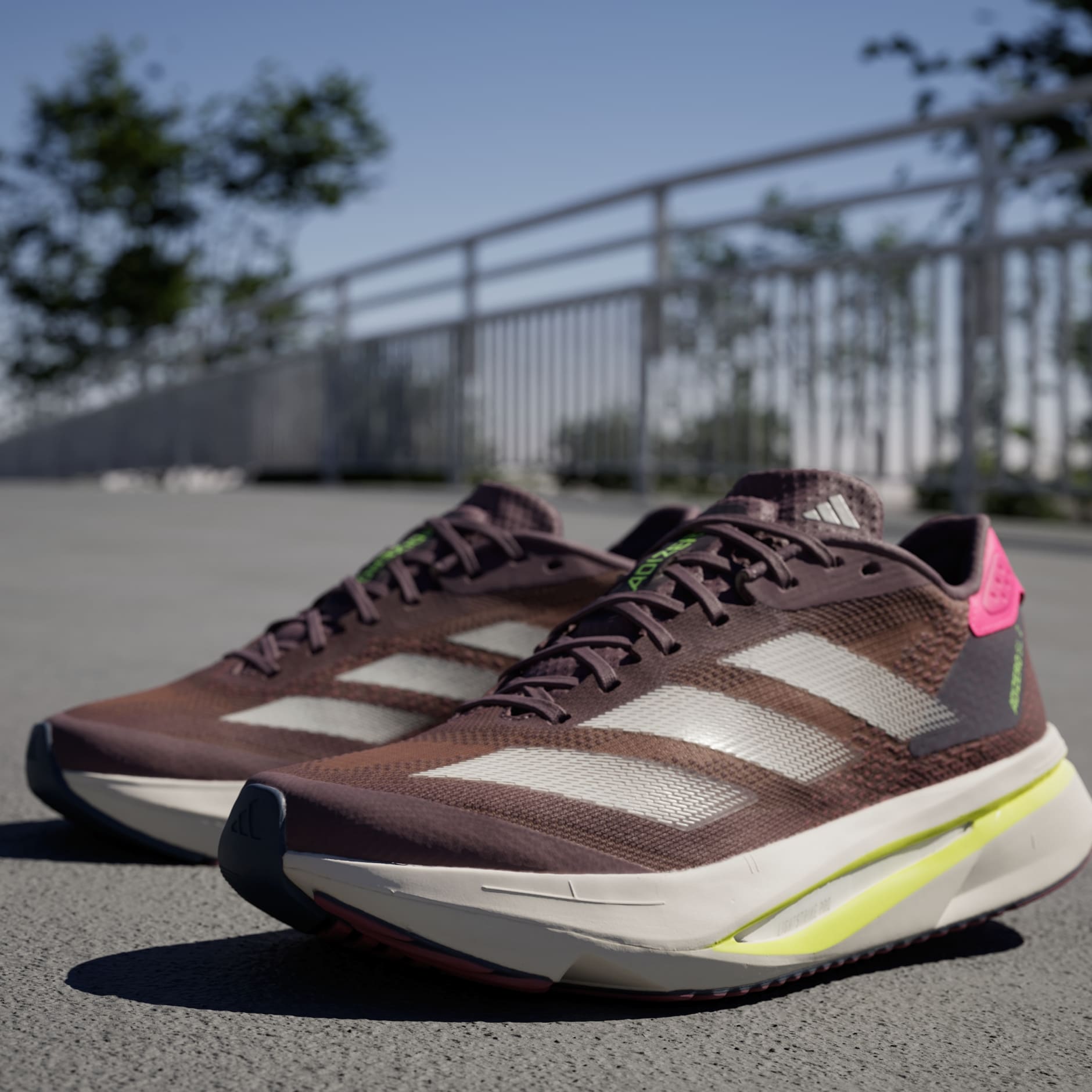 SHOES - Adizero SL2 Running Shoes - Purple | adidas Oman
