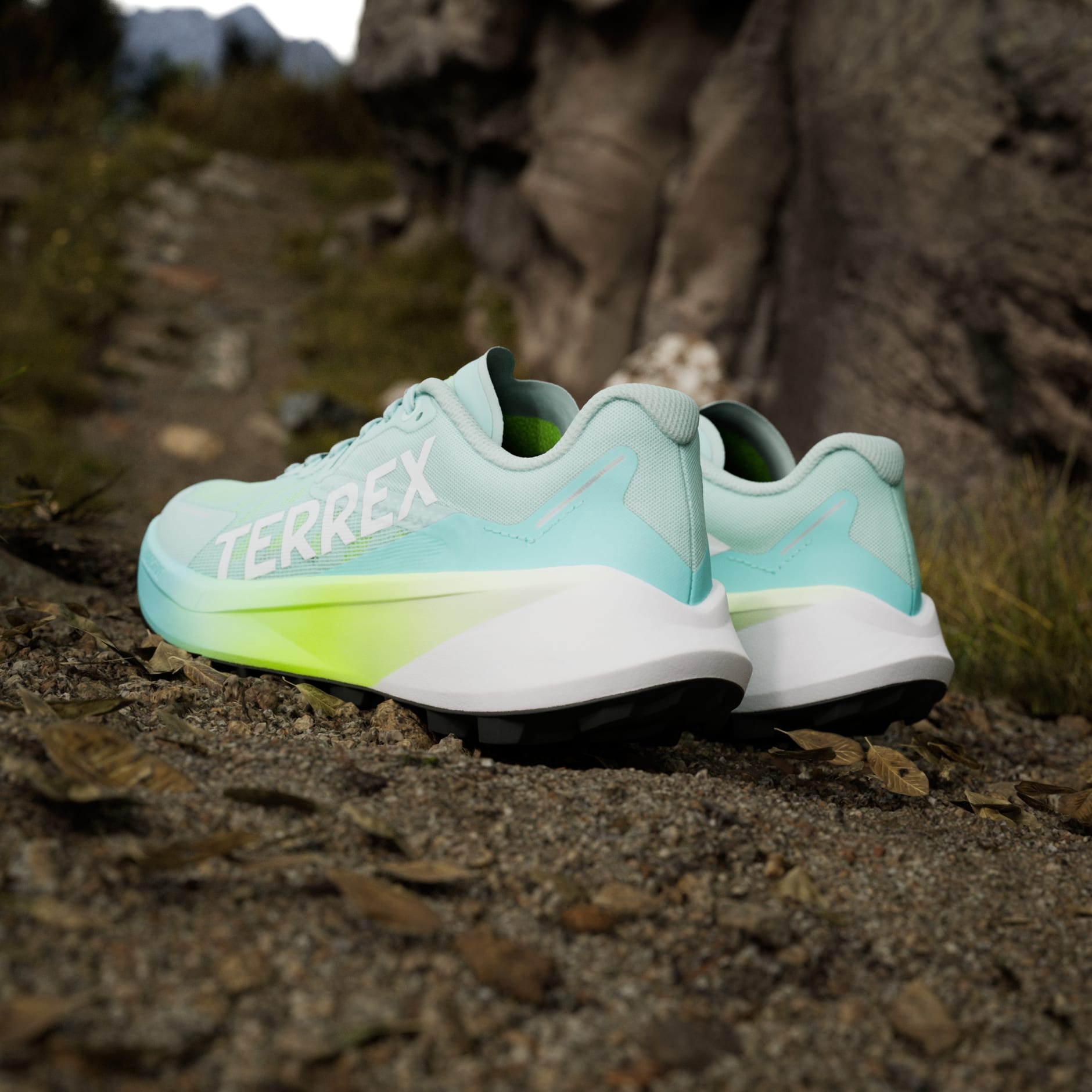 Tenisice za trail trčanje Terrex Agravic 3 