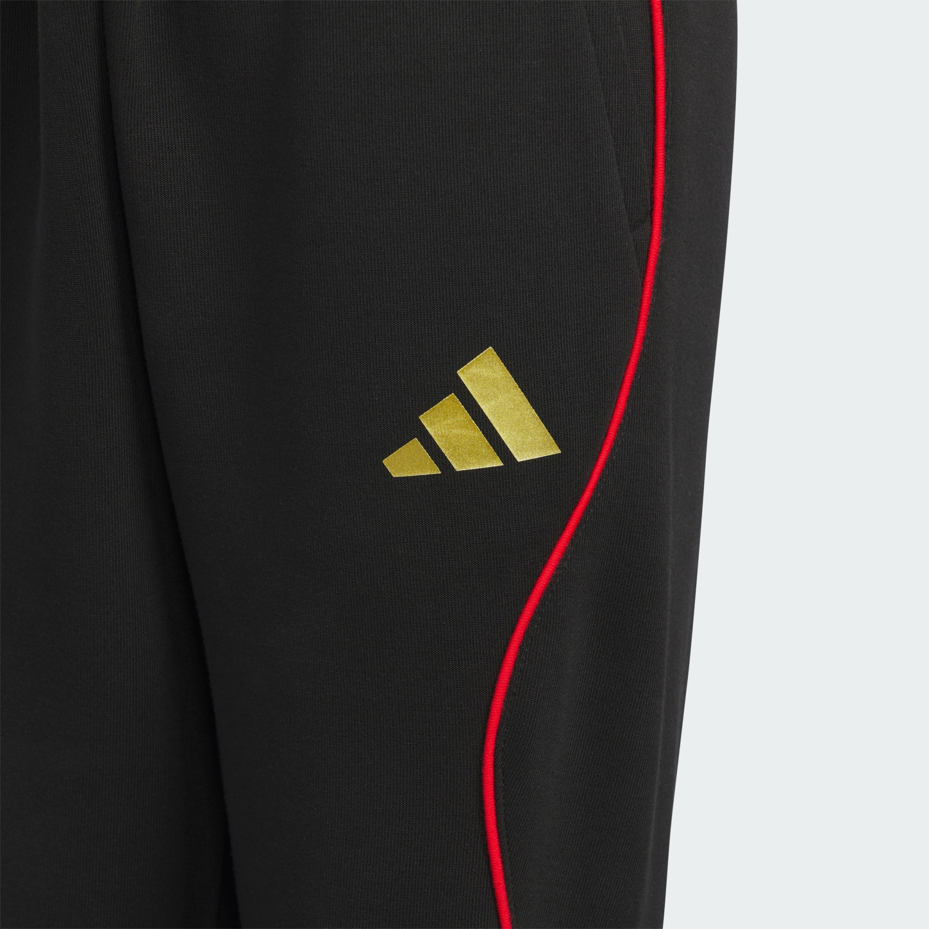 Chinese New Year Set Kids