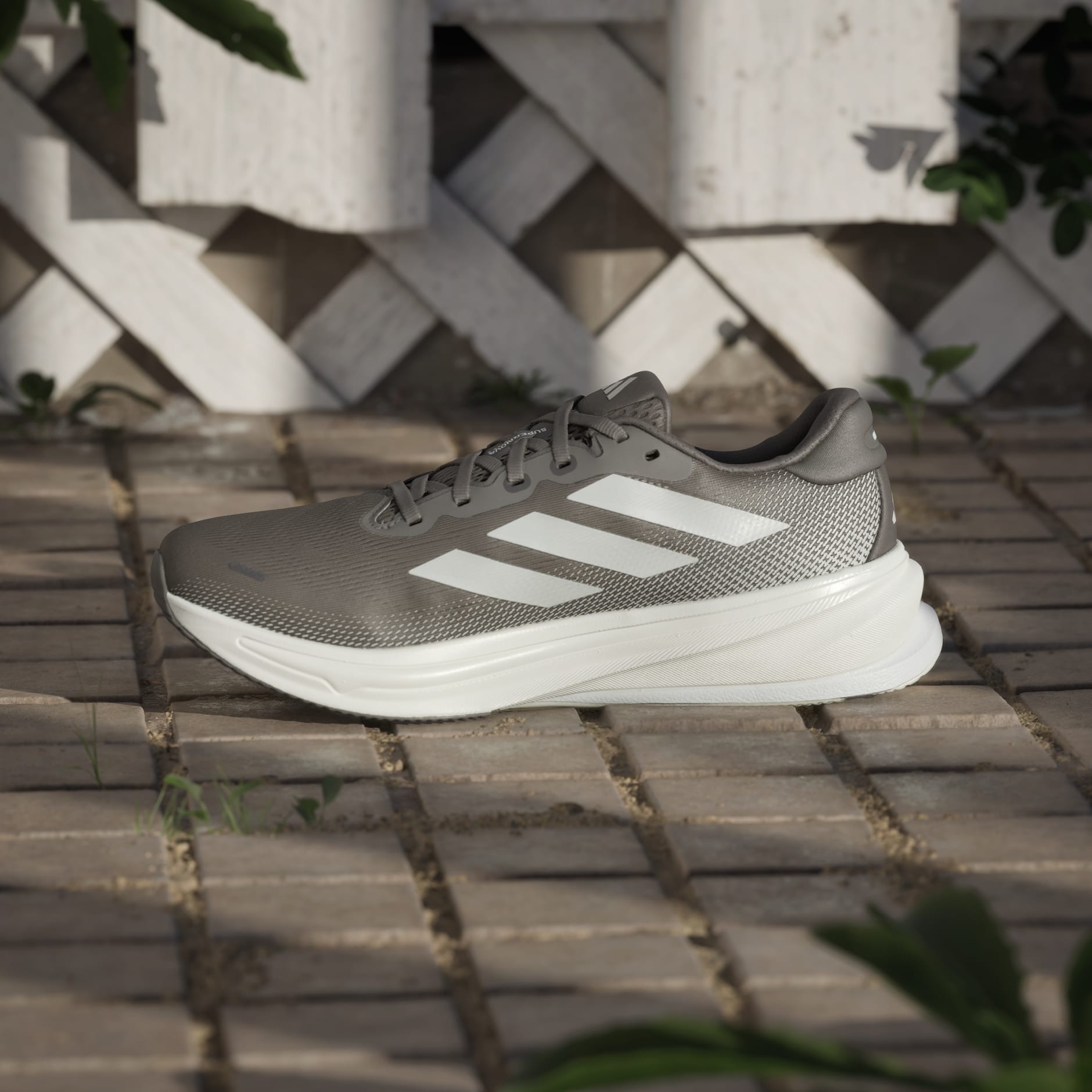 Pantofi de alergat Supernova Rise 2