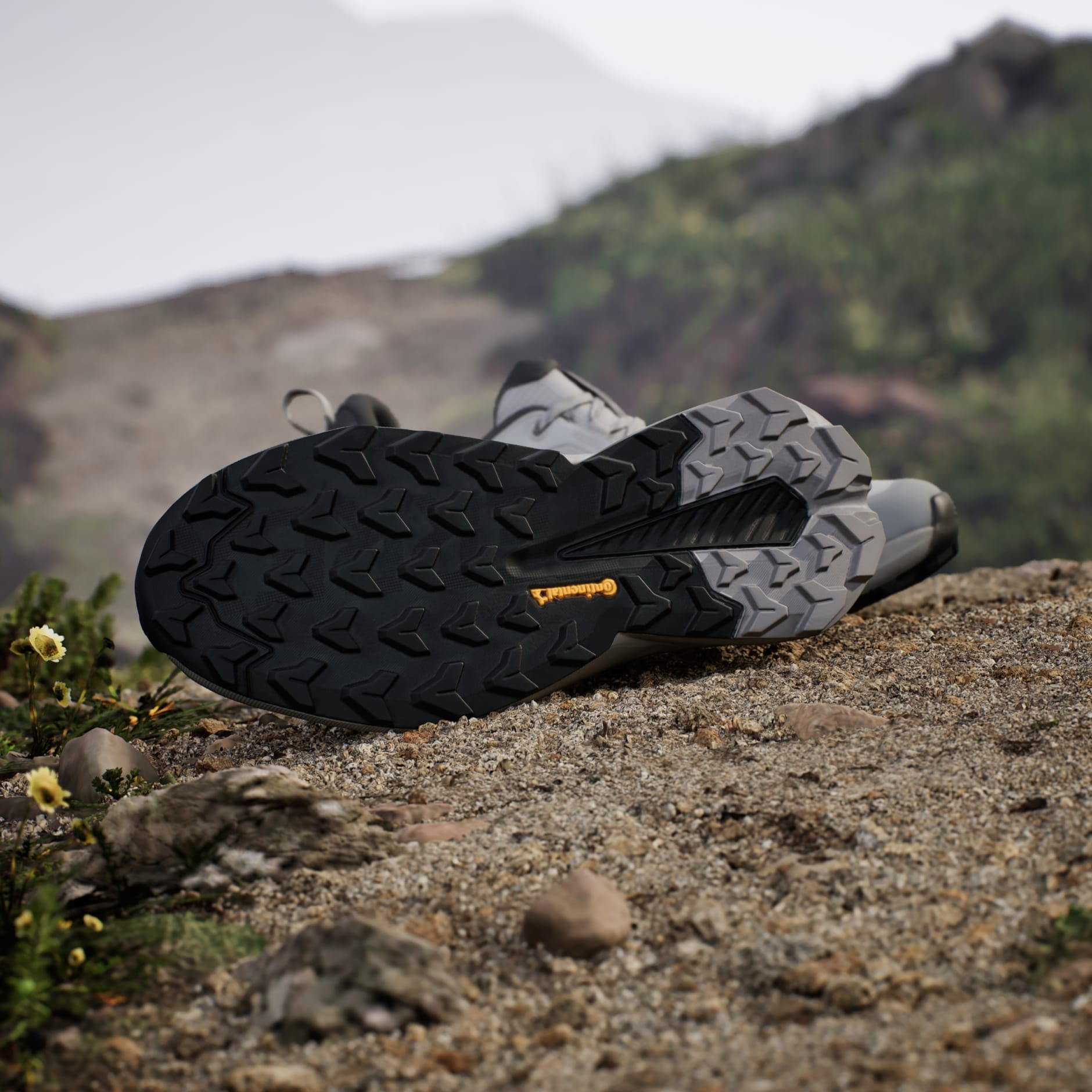 Pantofi de drumeție Terrex Trailmaker 2 GORE-TEX