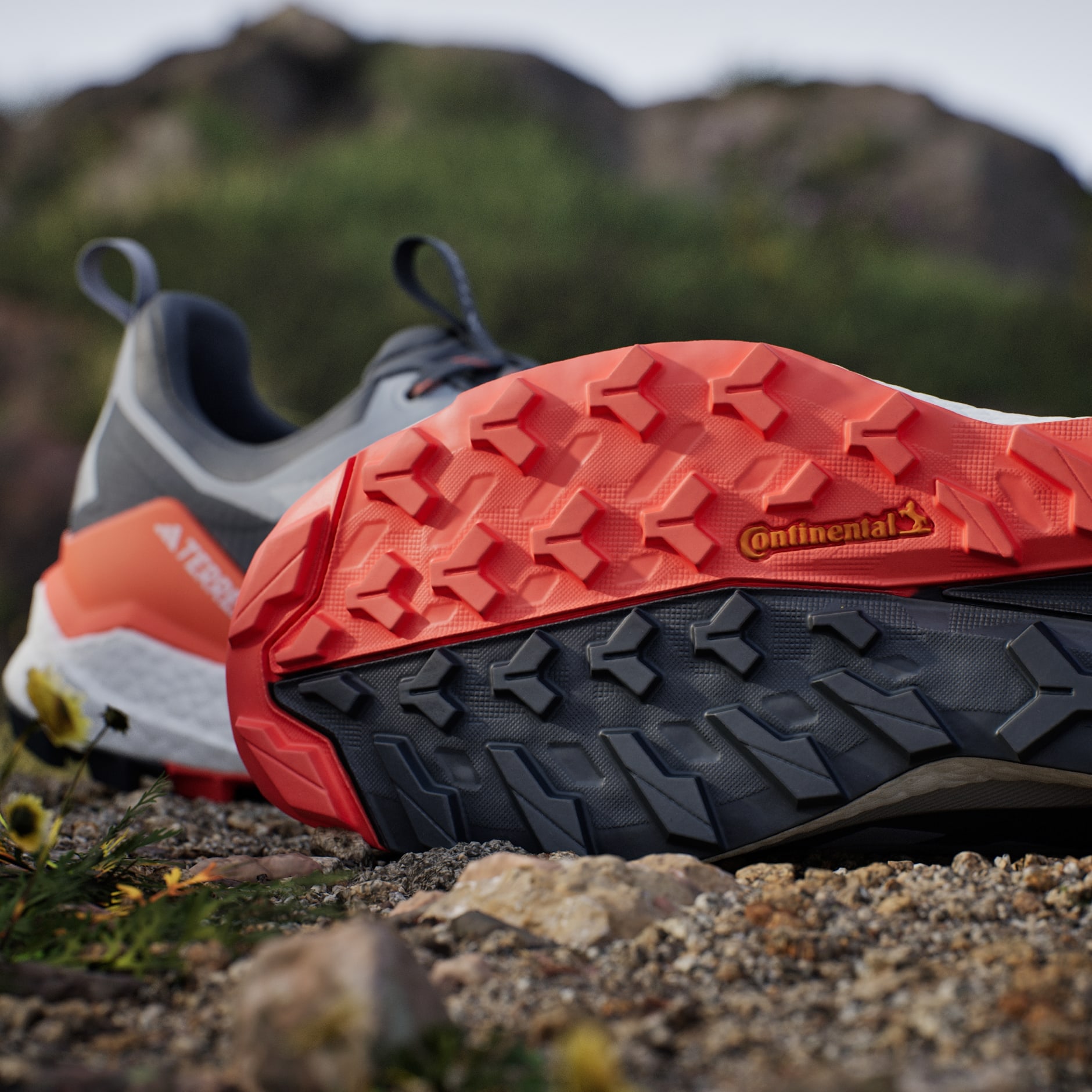 Pantofi de hiking Terrex Free Hiker 2.0 Low Gore-Tex