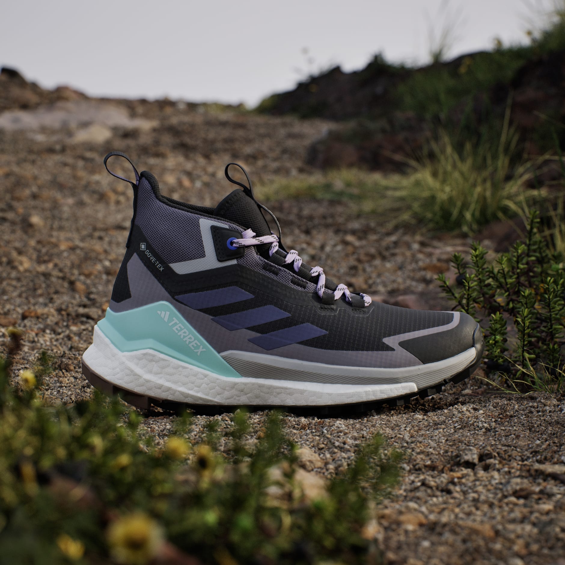 Terrex Free Hiker 2.0 Gore-Tex Hiking Shoes