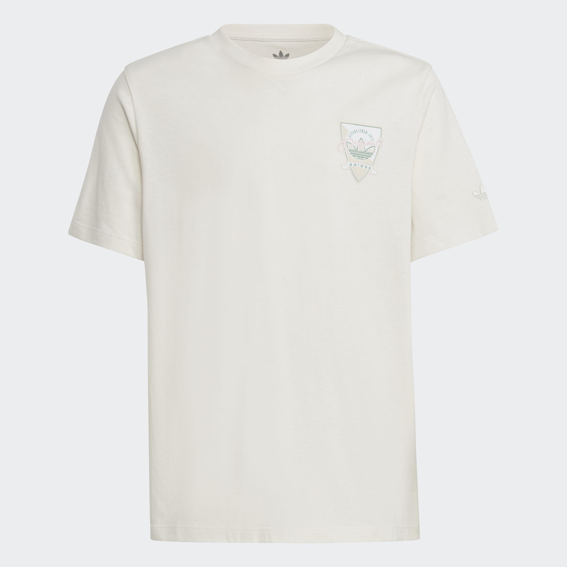 Graphic Print Boyfriend Tee