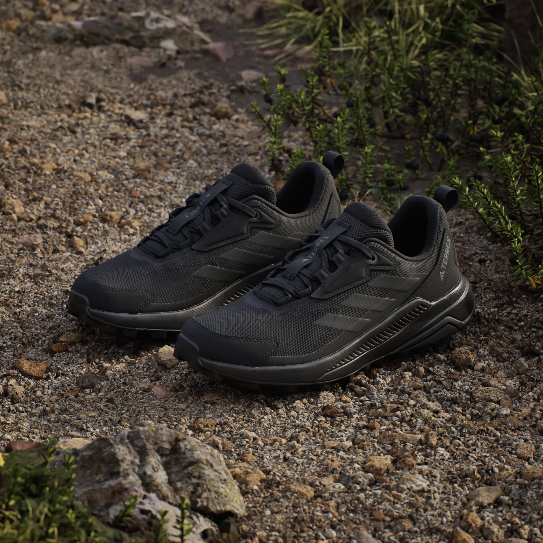 Chaussure de randonn&eacute;e Terrex Anylander