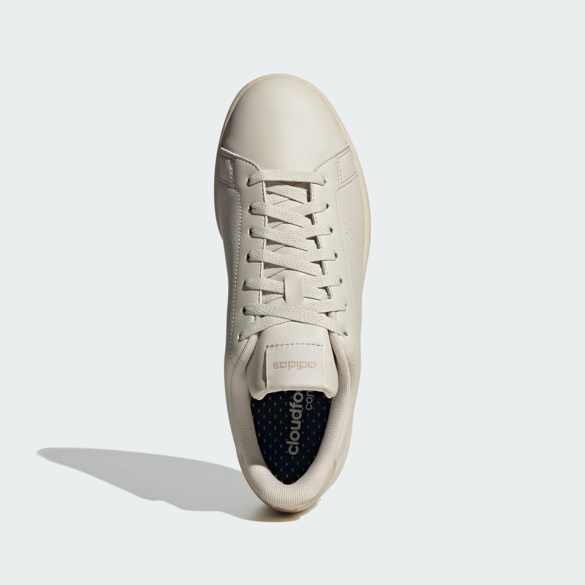 adidas advantage beige Cinosural International School