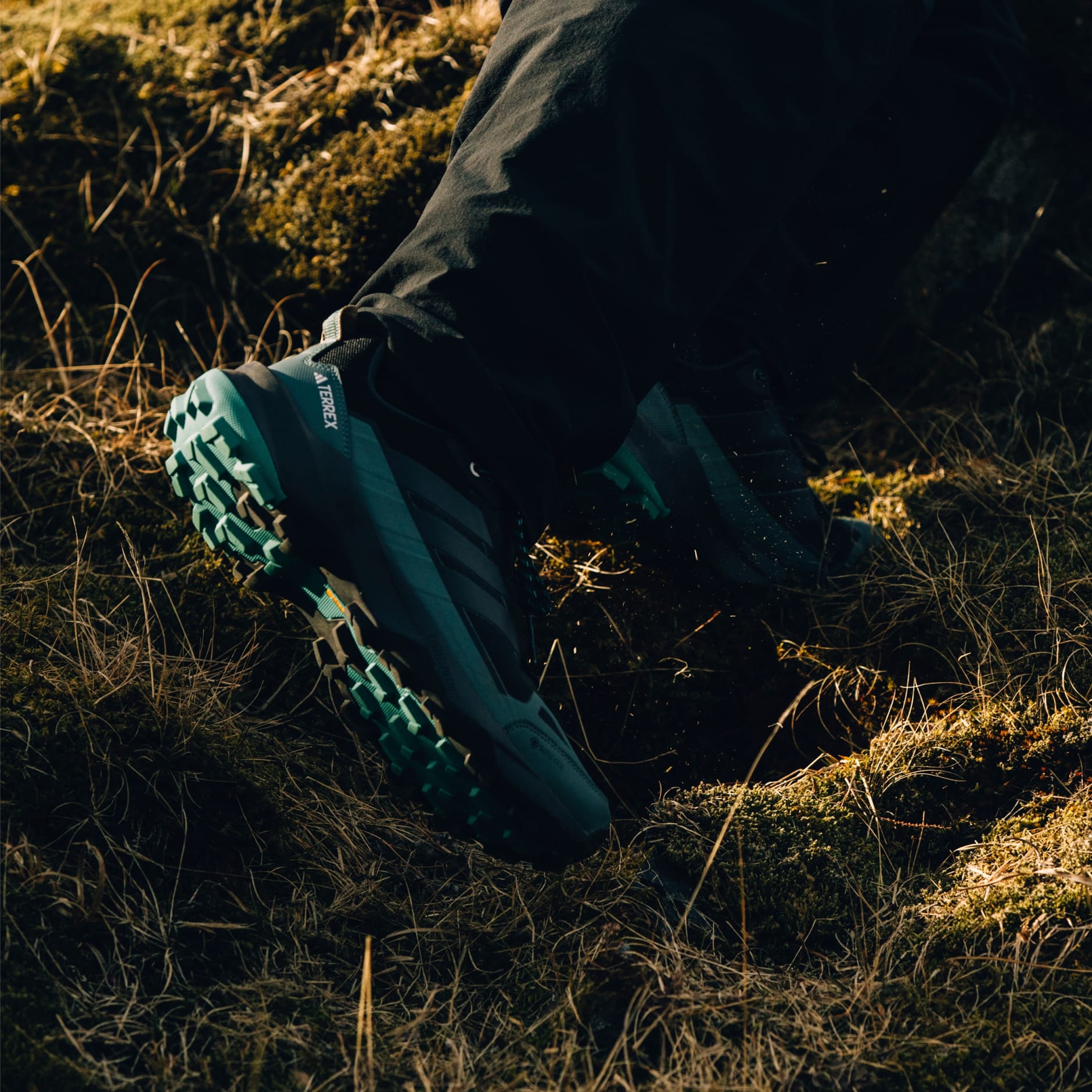 Planinarske cipele Terrex Skychaser AX5 GORE-TEX