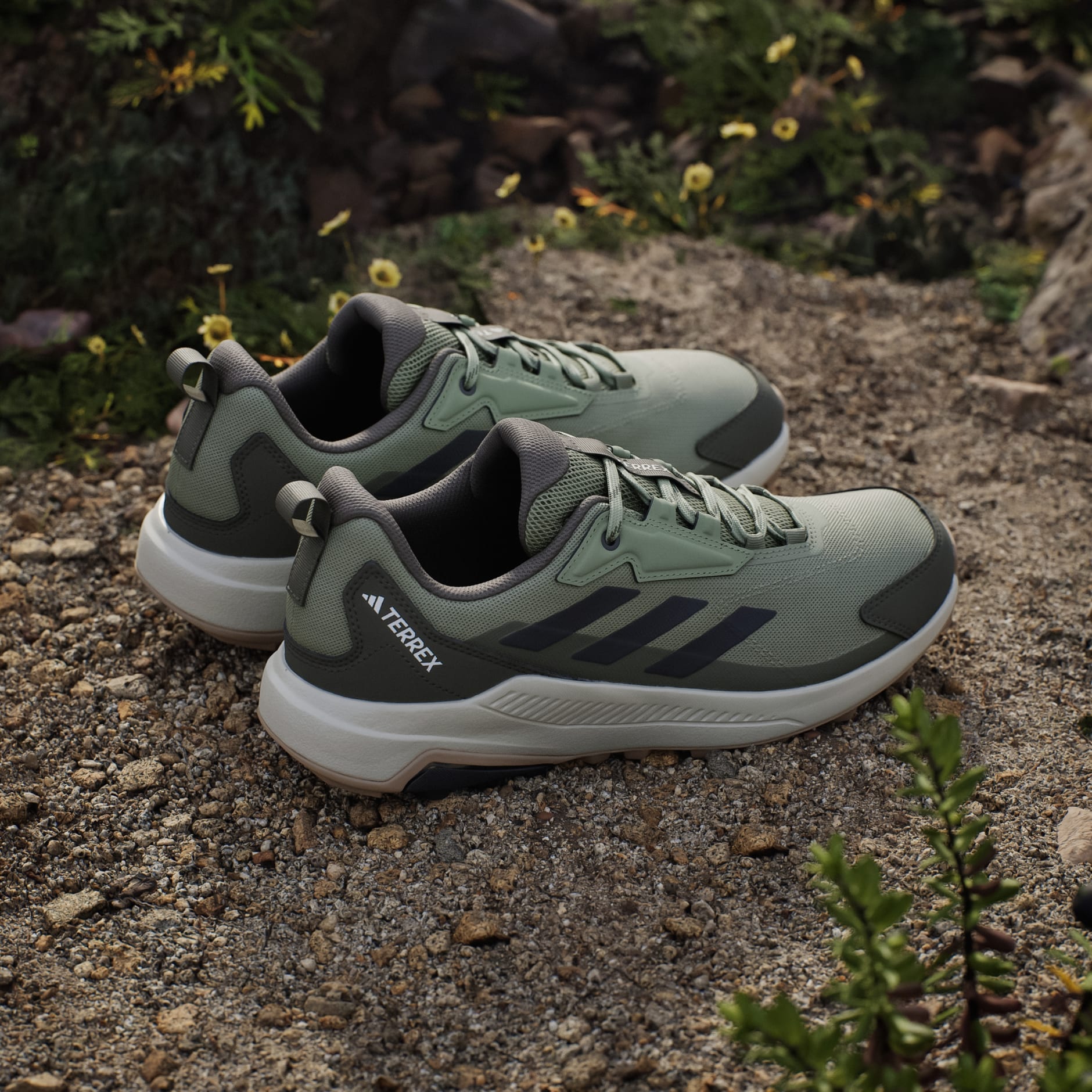 Terrex Anylander Hiking Shoes