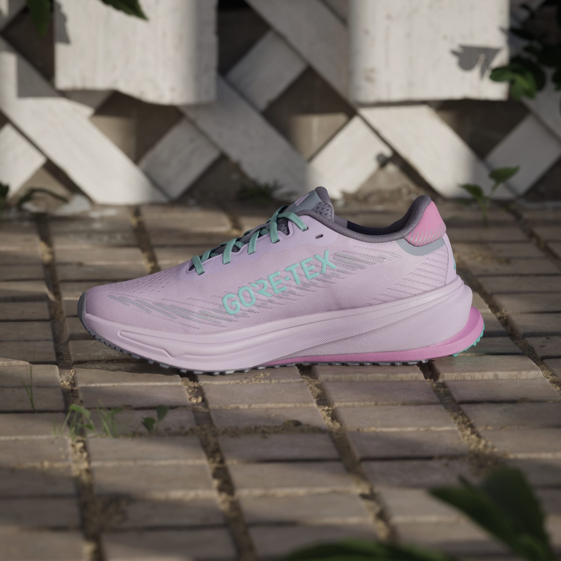 حذاء Supernova Rise GTX Running