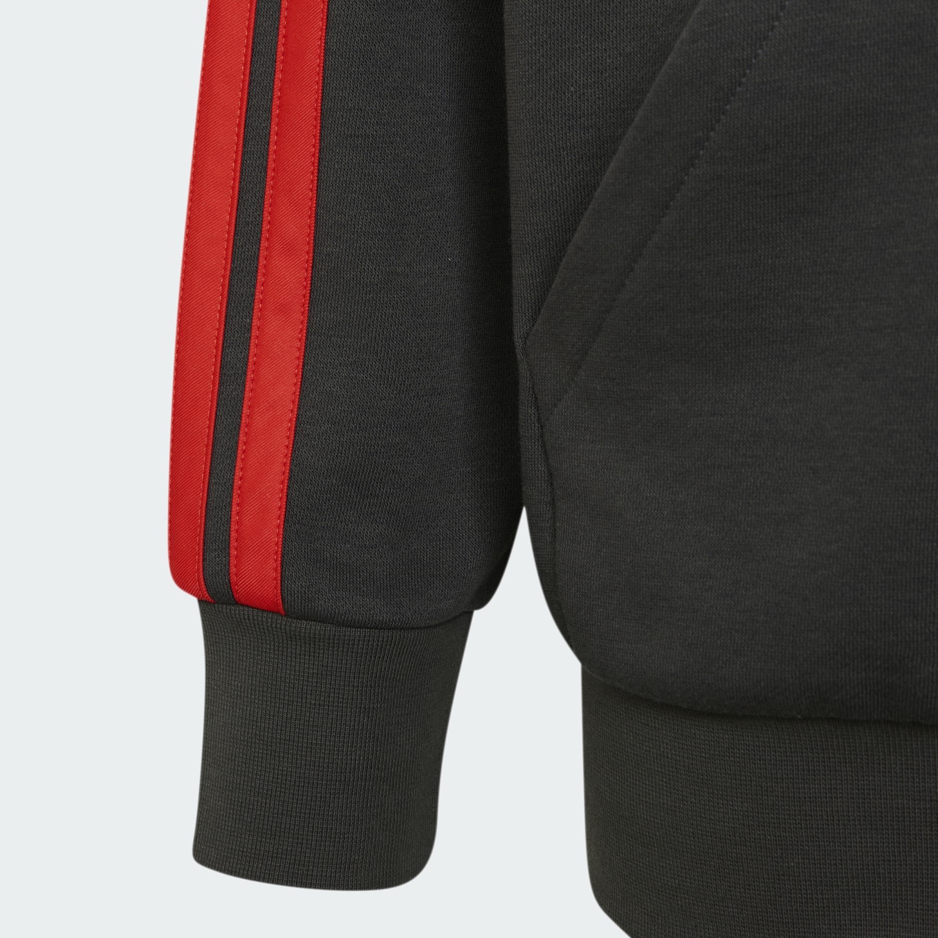 HANORAC PENTRU TINERI AUDI FORMULA ONE TEAM DNA CU FERMOAR COMPLET