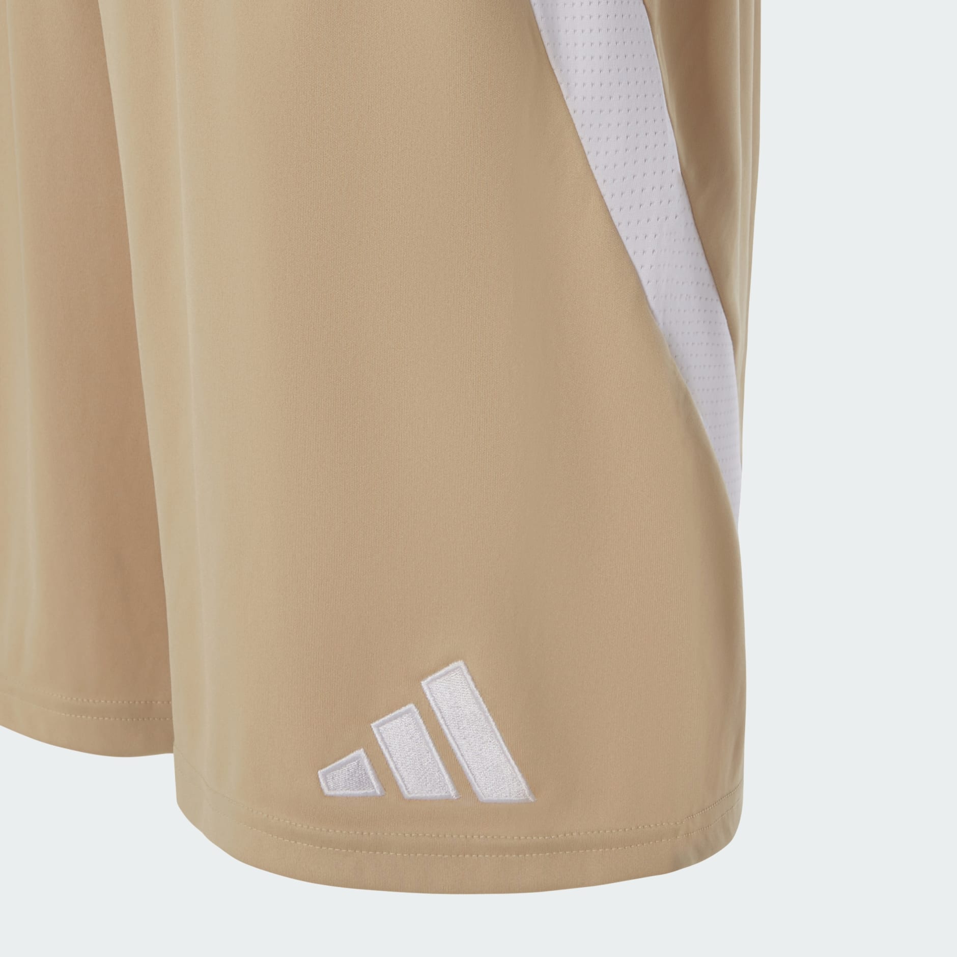 الشورت الثالث للرجال لنادي الأهلي لكرة القدم لعام 2024