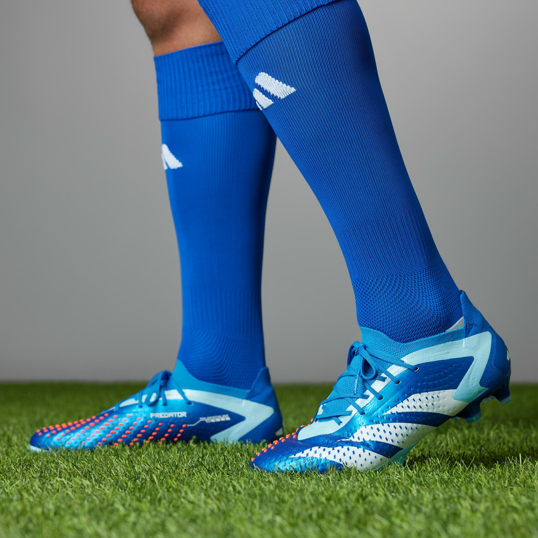 adidas PREDATOR ACCURACY.1 L FG Bleu