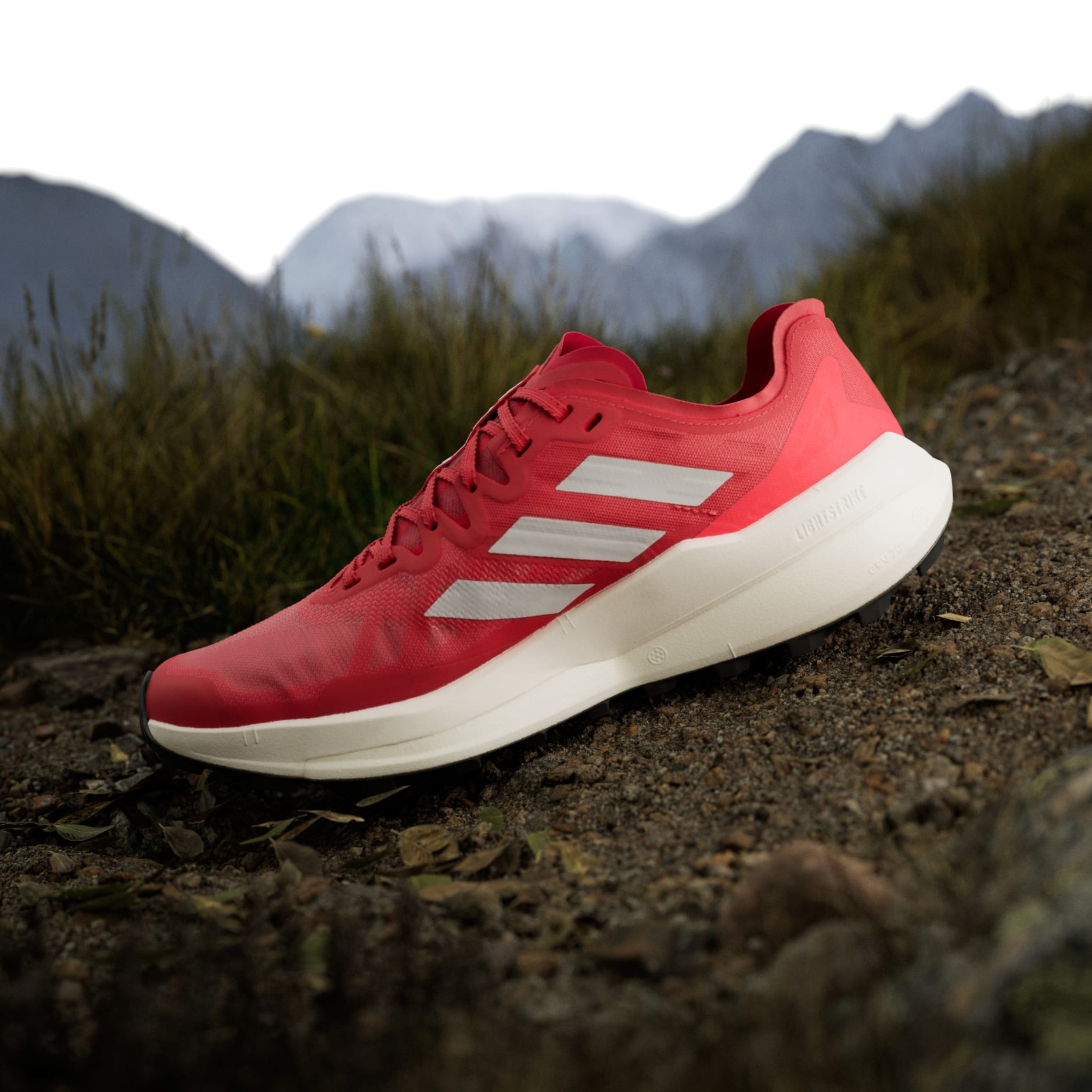  Pantofi de alergare pe poteci Terrex Agravic Speed