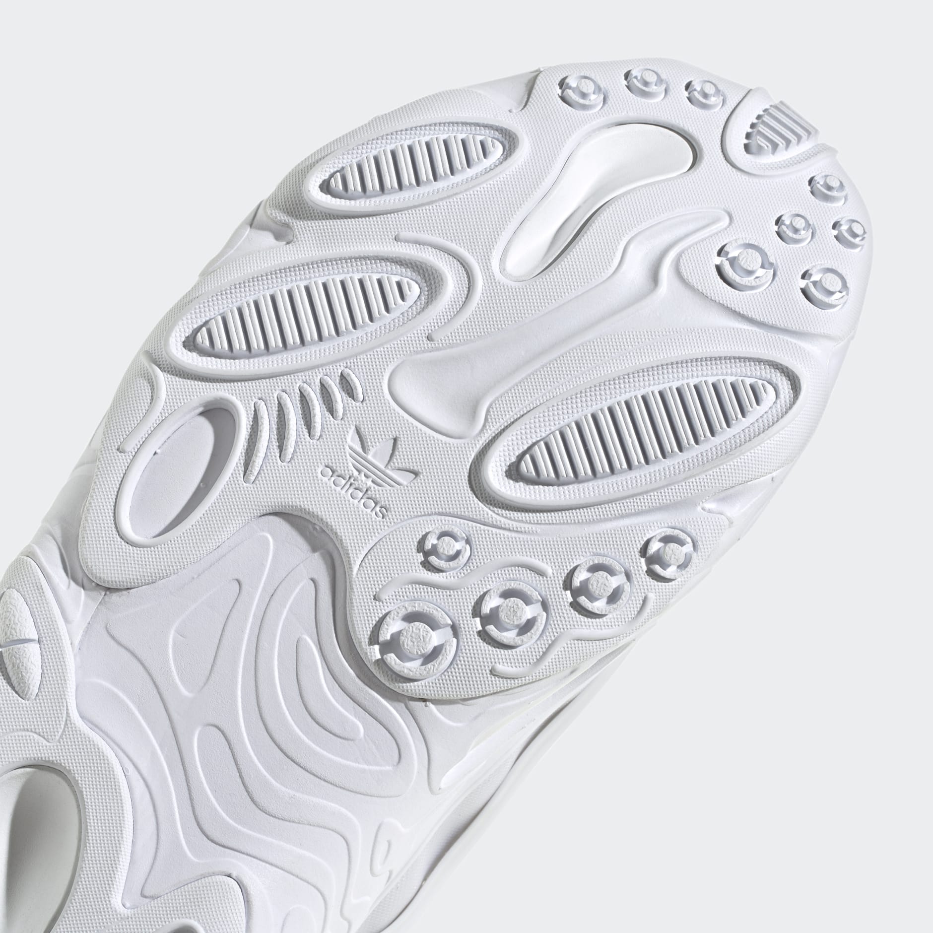 OZNOVA Shoes