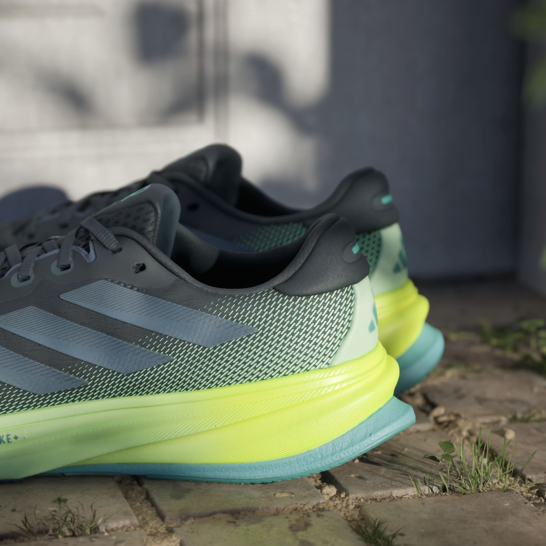 حذاء Supernova Rise 2 Running