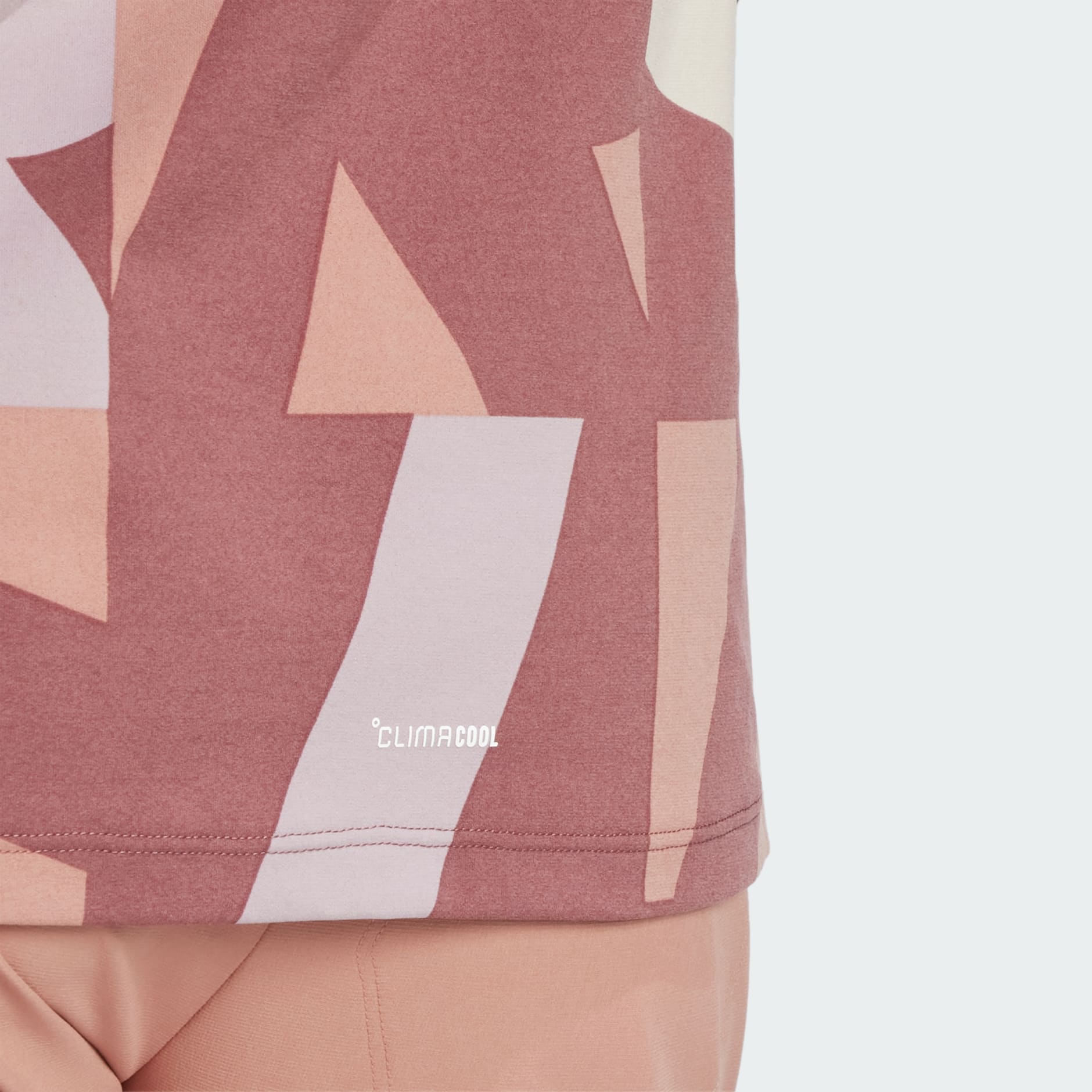 Terrex Multi Climacool Printed Tee