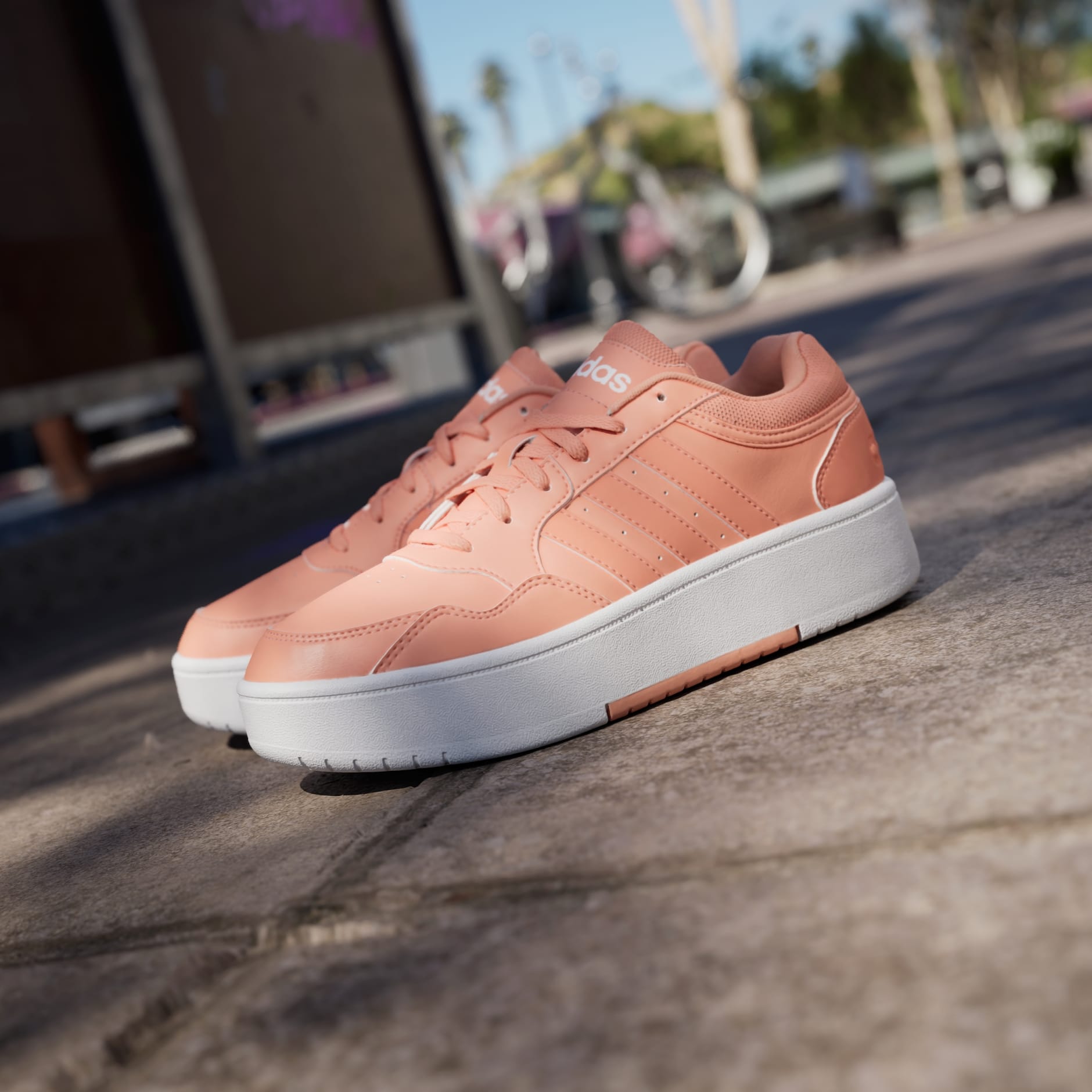 Pantofi Hoops 3.0 Bold