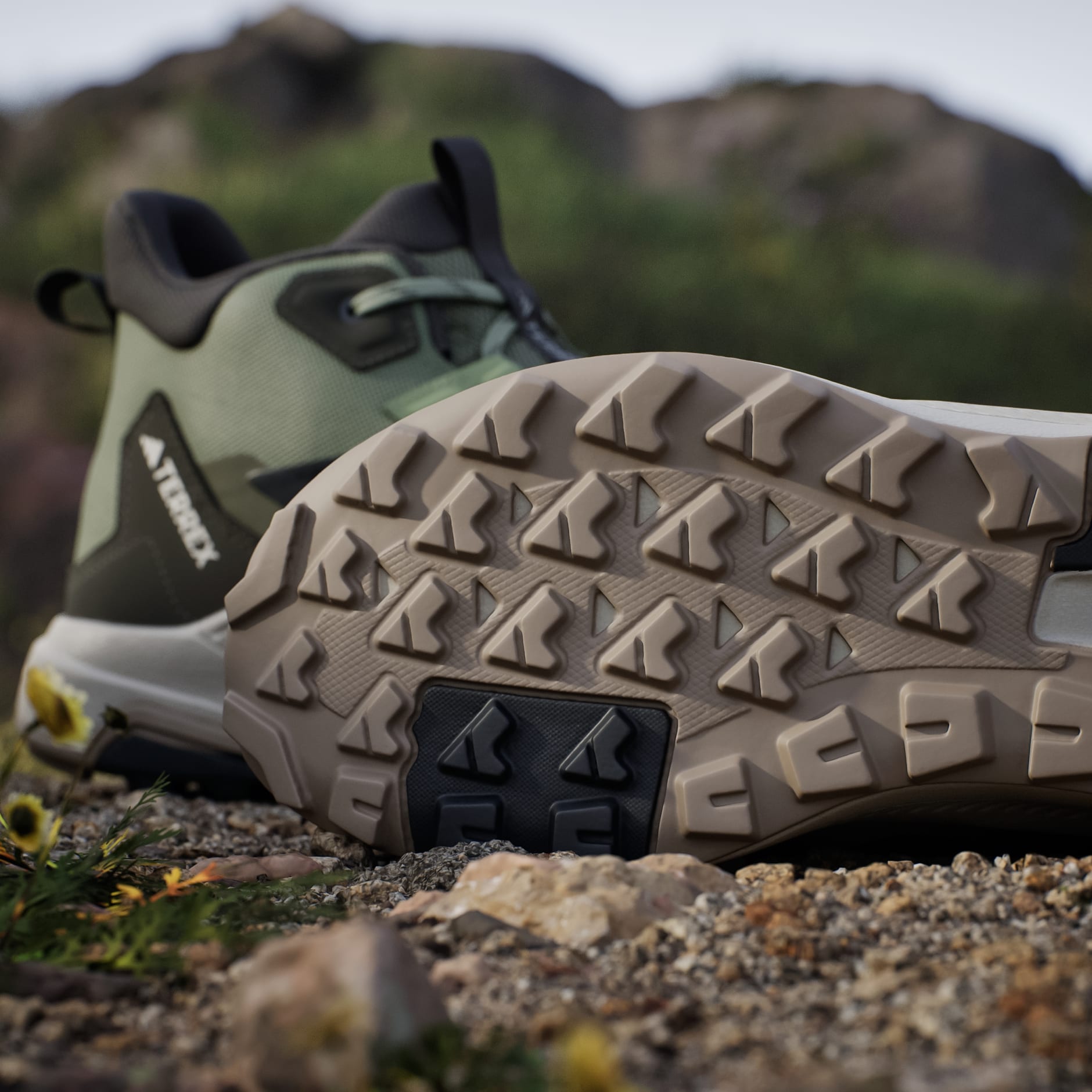 Pantofi de drumeție Terrex Anylander Mid