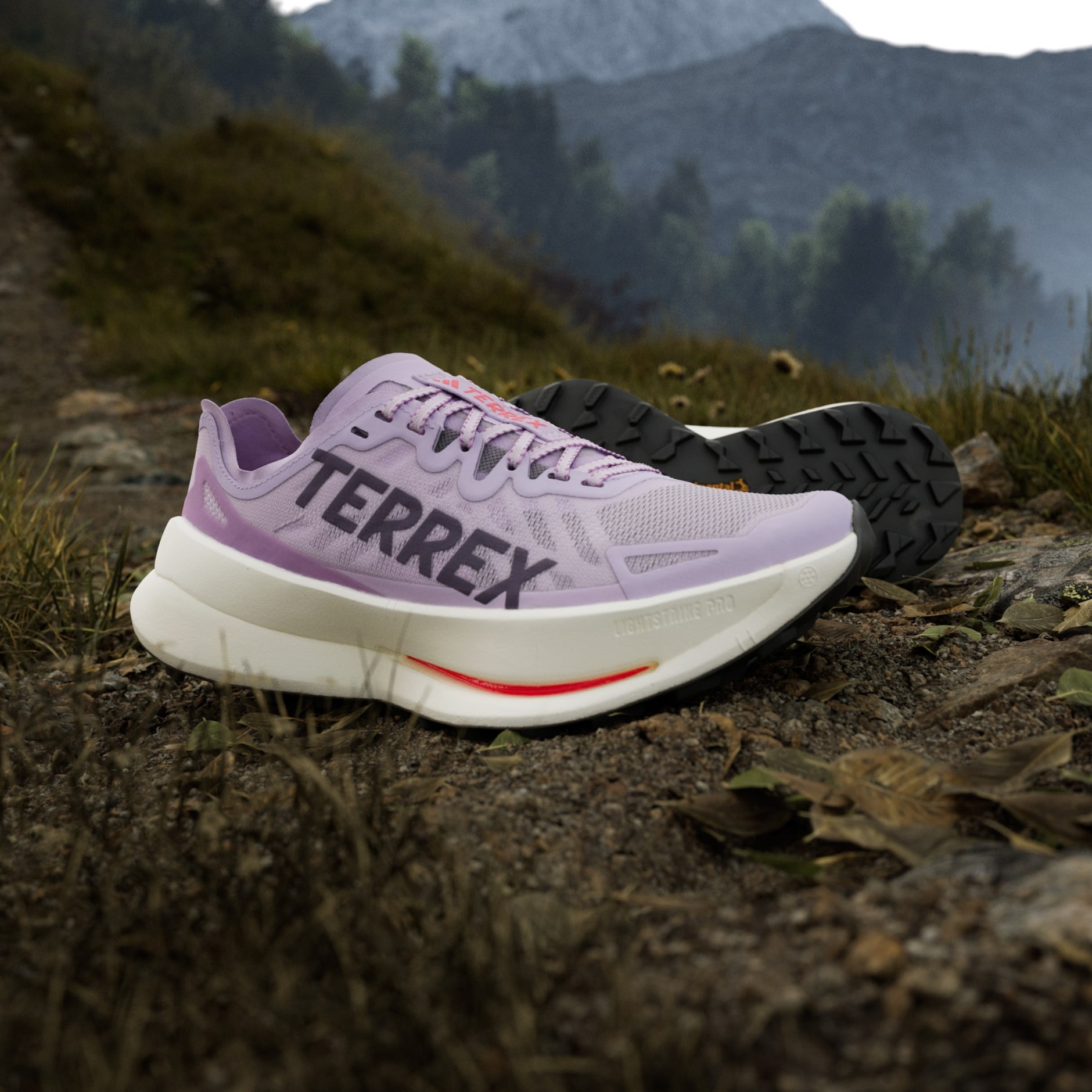 Tenisice za trail trčanje Terrex Agravic Speed Ultra