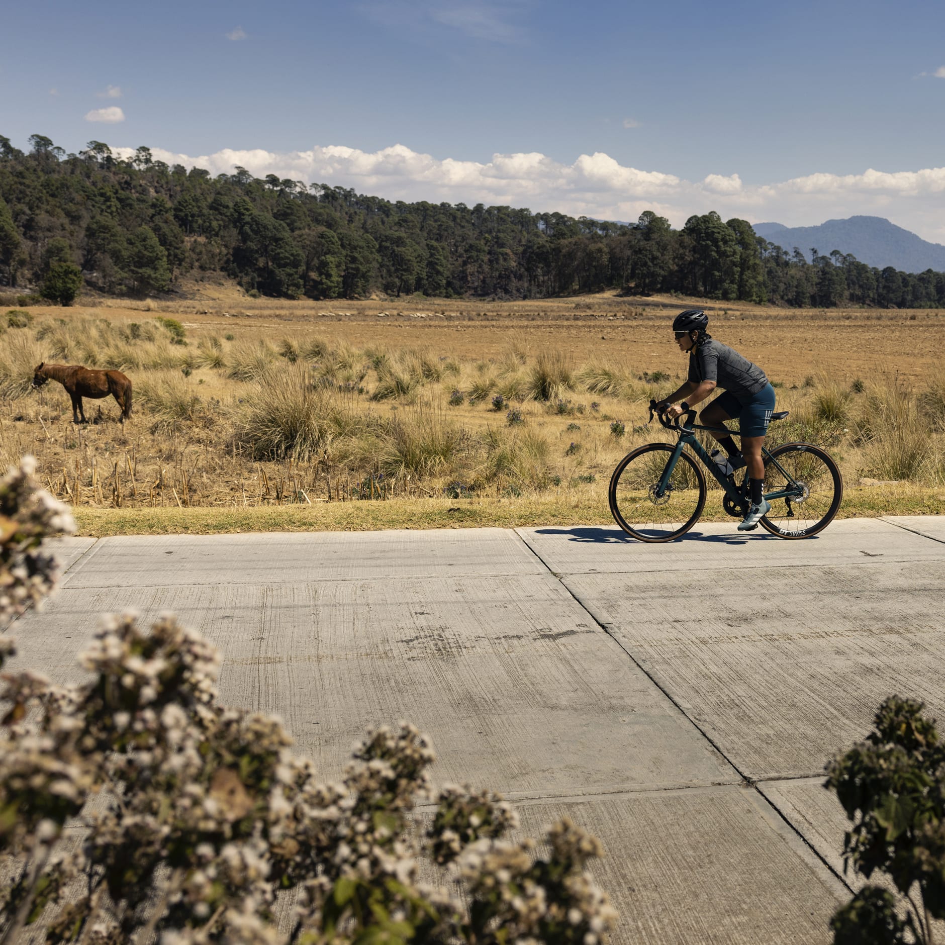 The Parley Short Sleeve Cycling Jersey