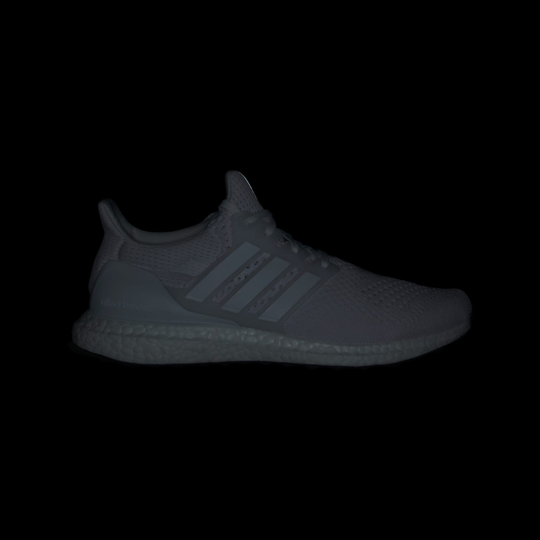 Ultraboost 1.0 Shoes