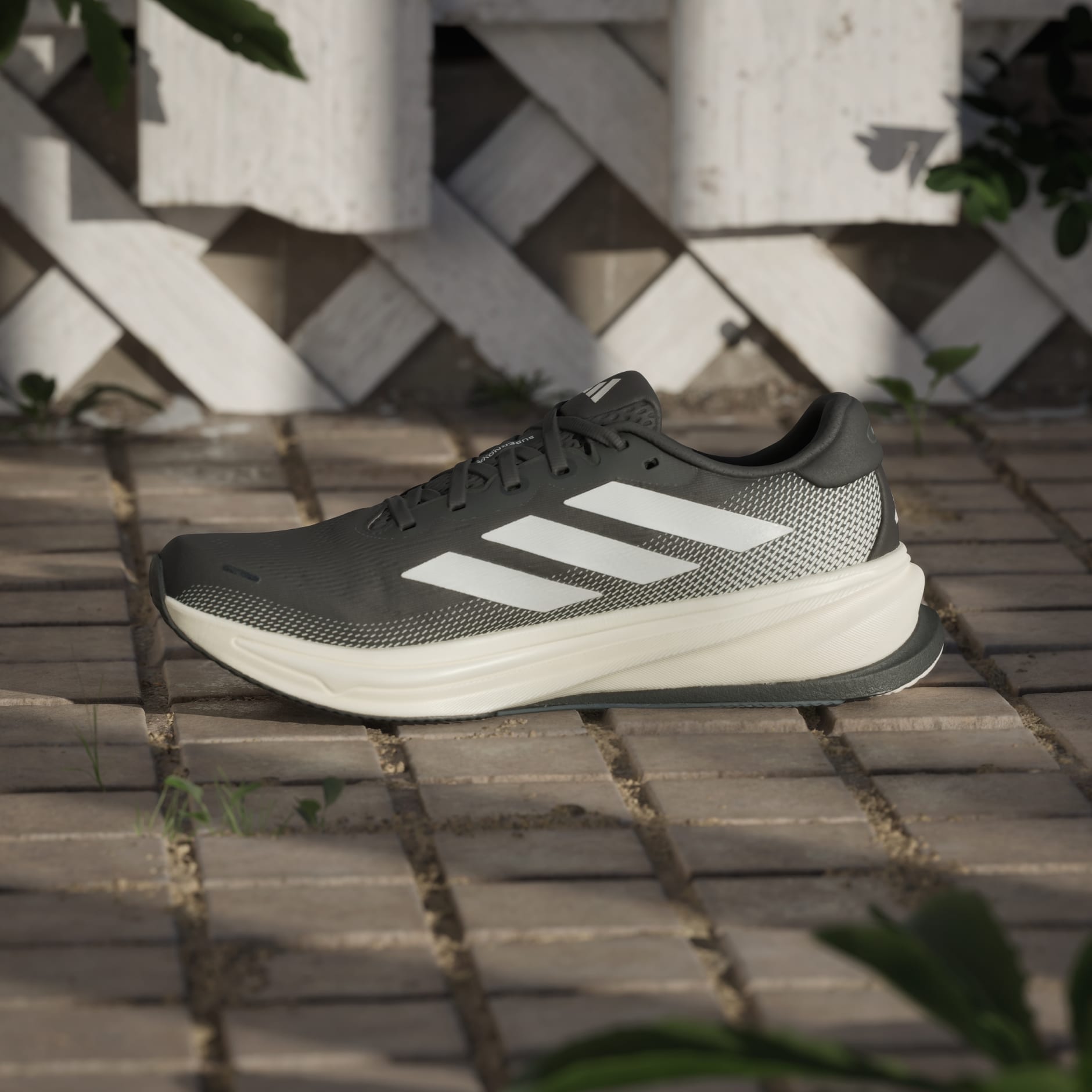 Tenis Supernova Rise 2 Running