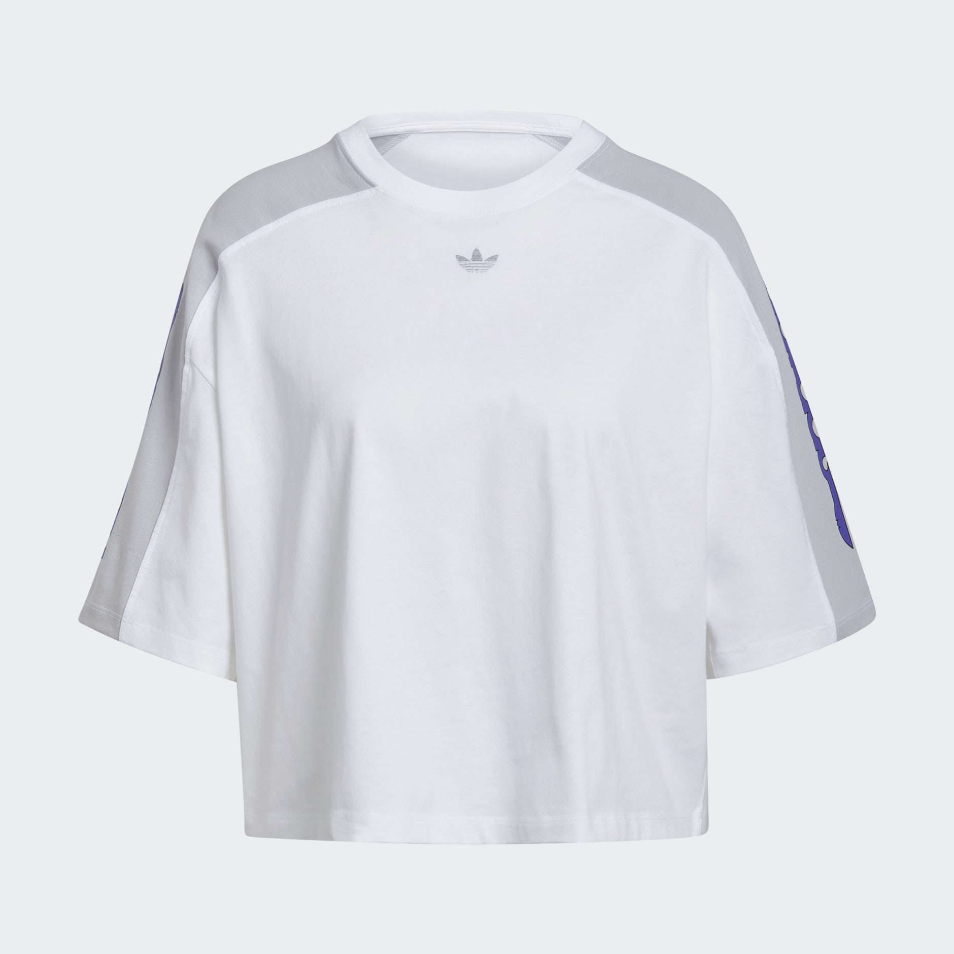 Blocked Graphic Crop Tee
