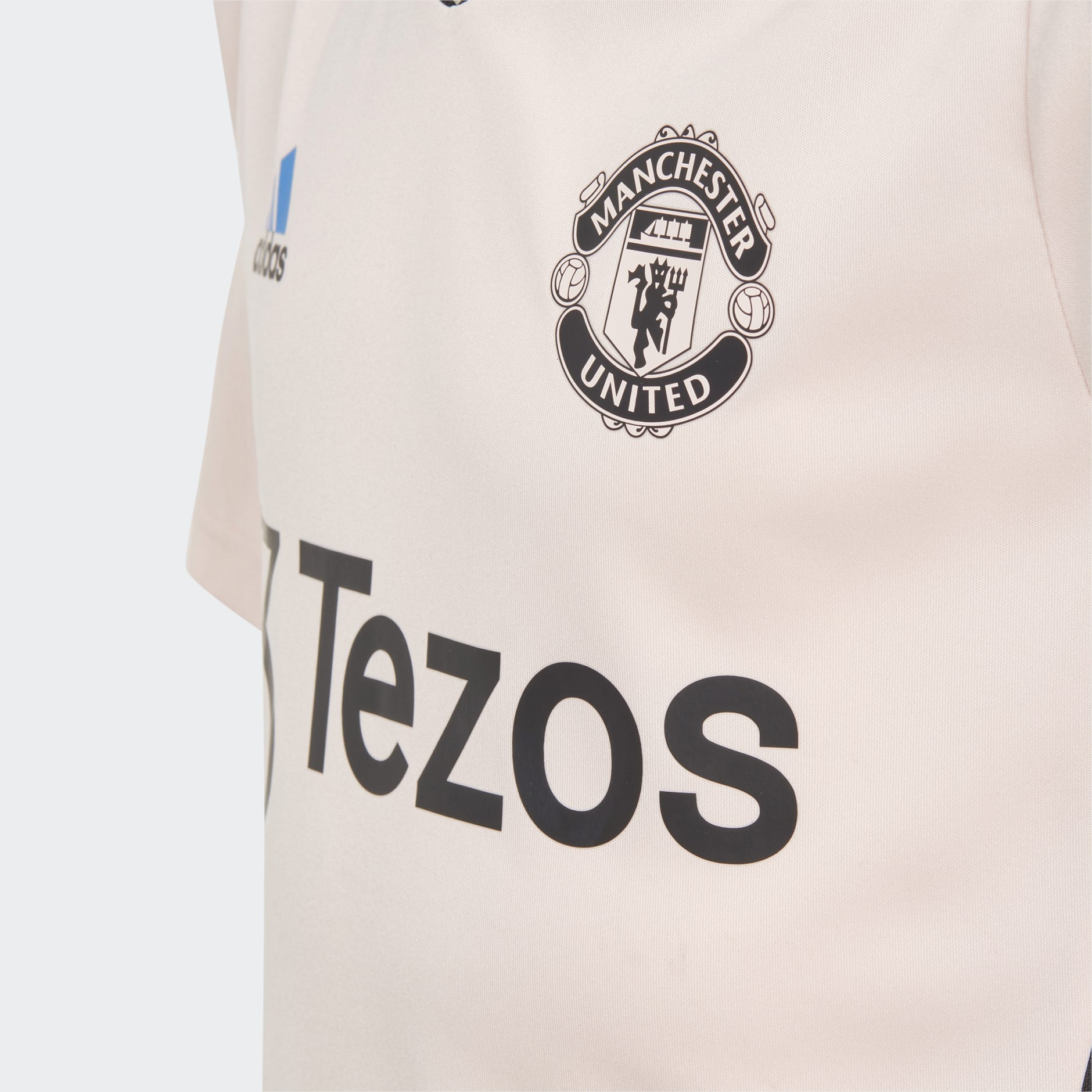 Manchester United Condivo 22 Training Jersey
